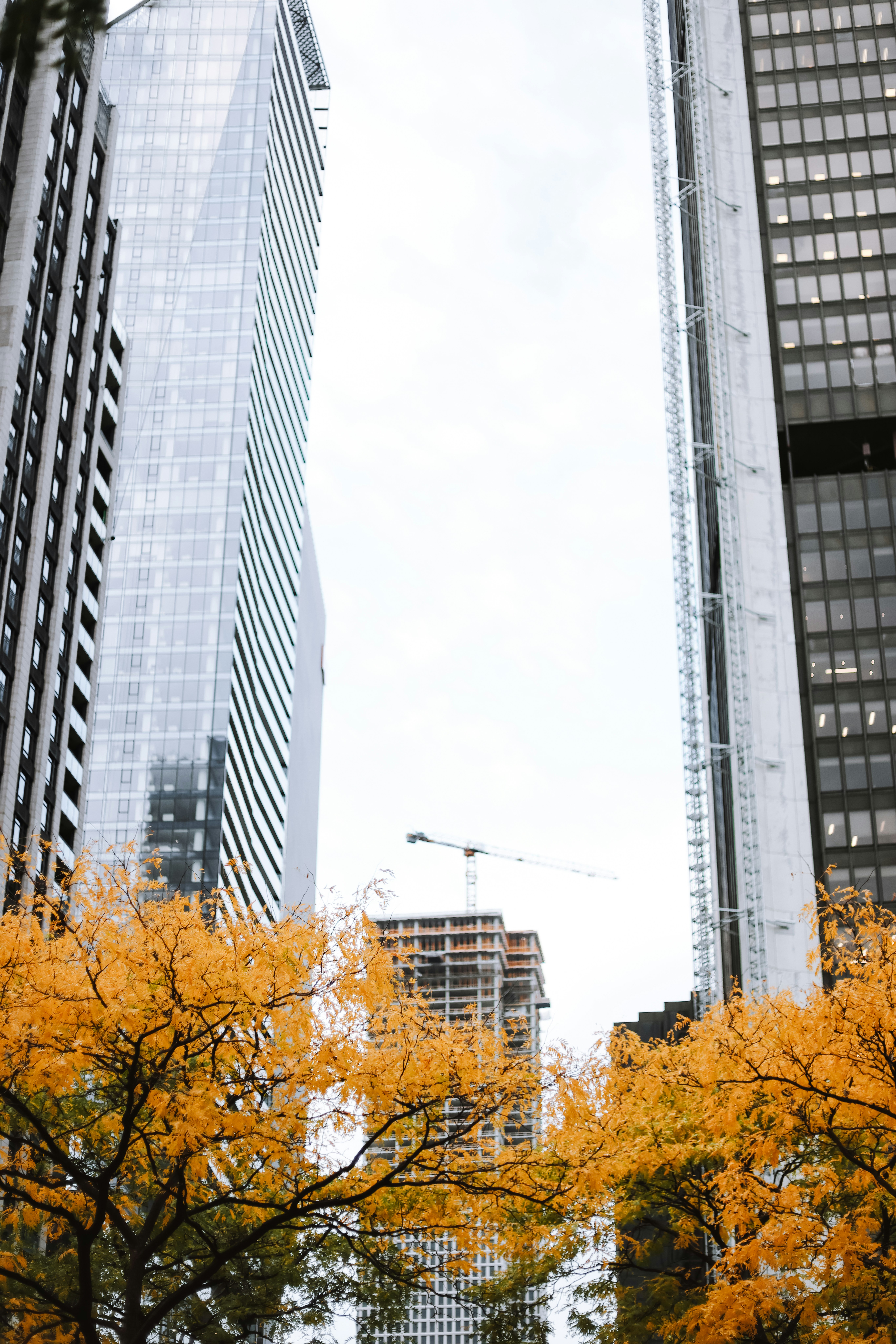 Photo by anniespratt