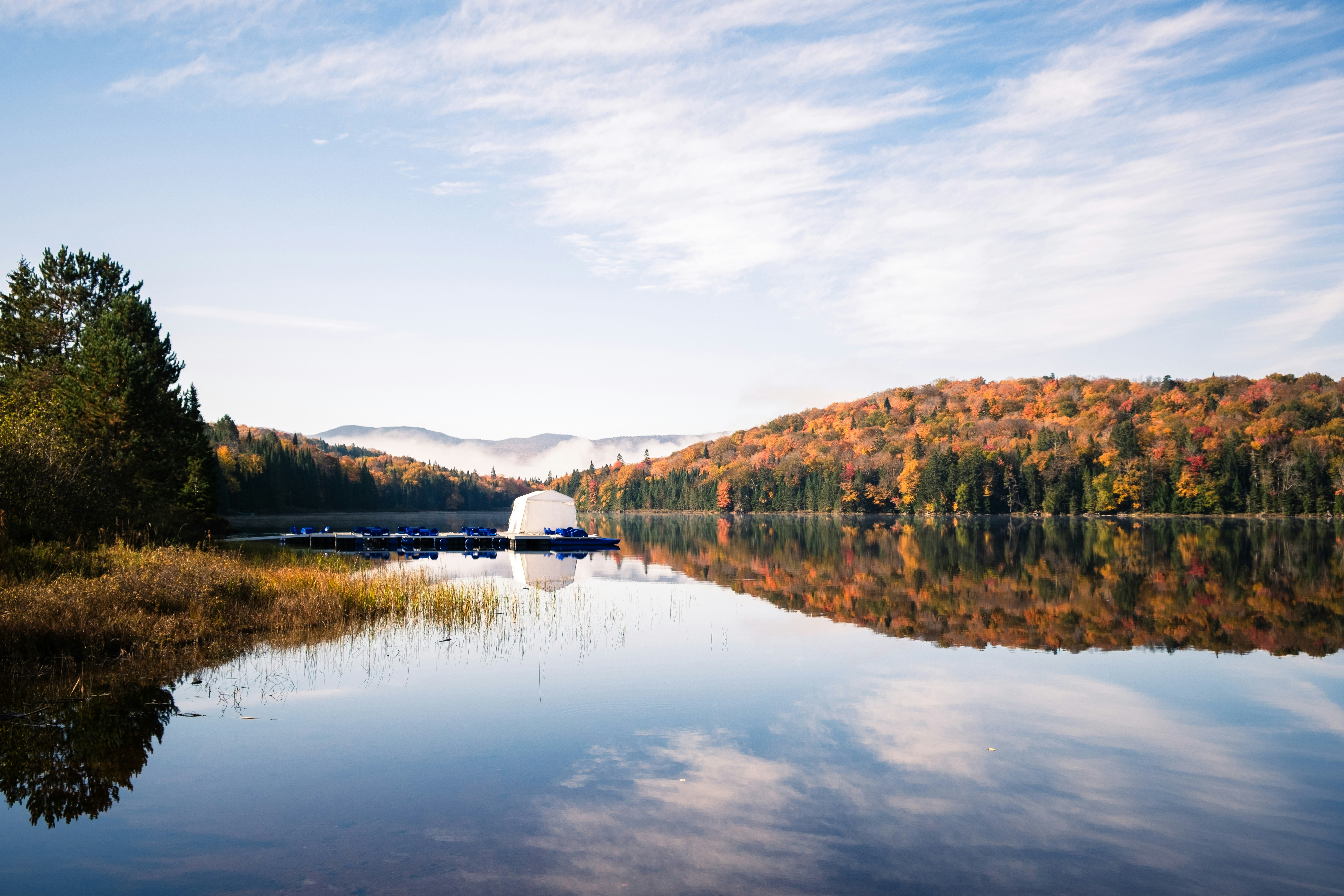 A body of water surrounded by a forest