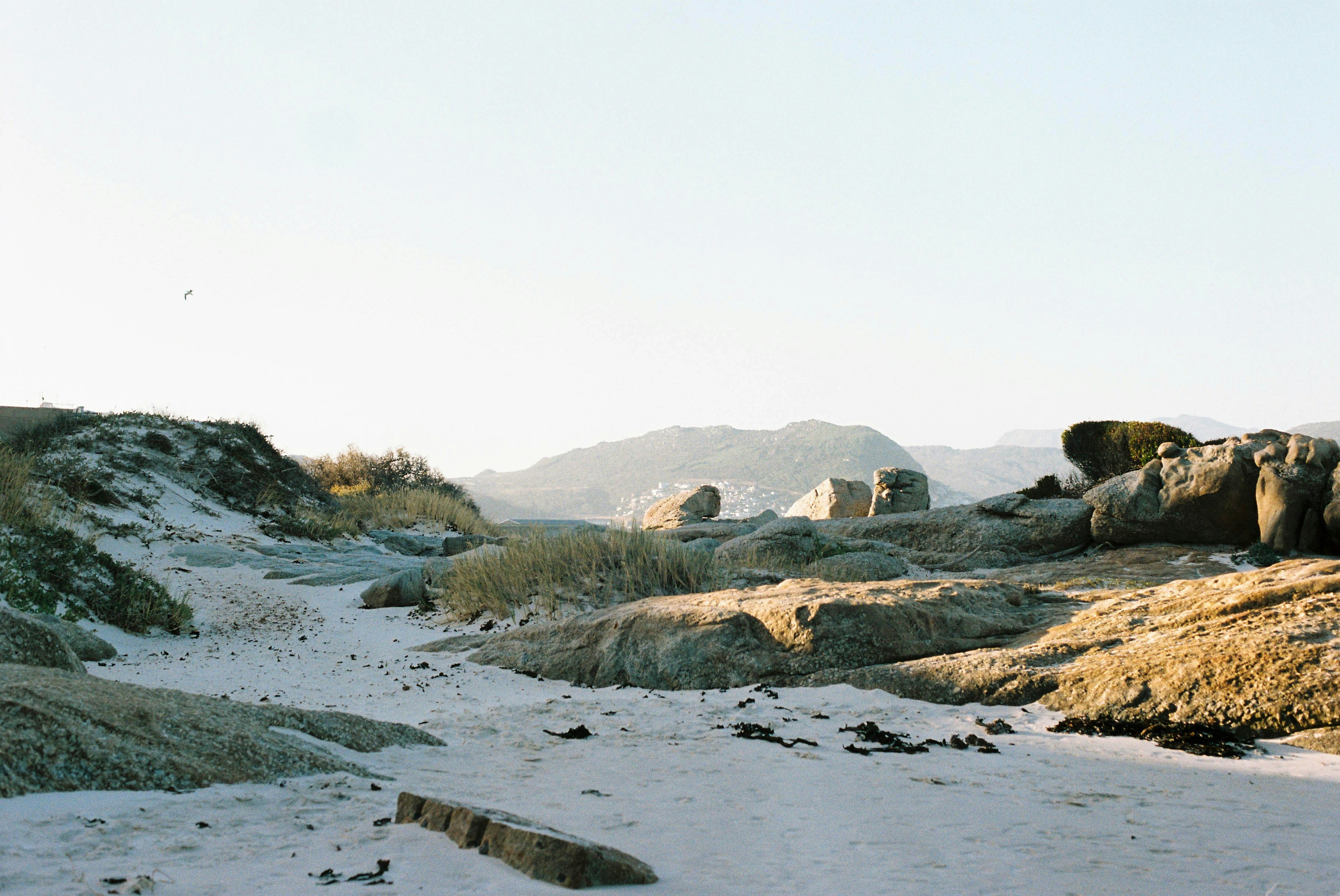 Photo by juliandefreitas