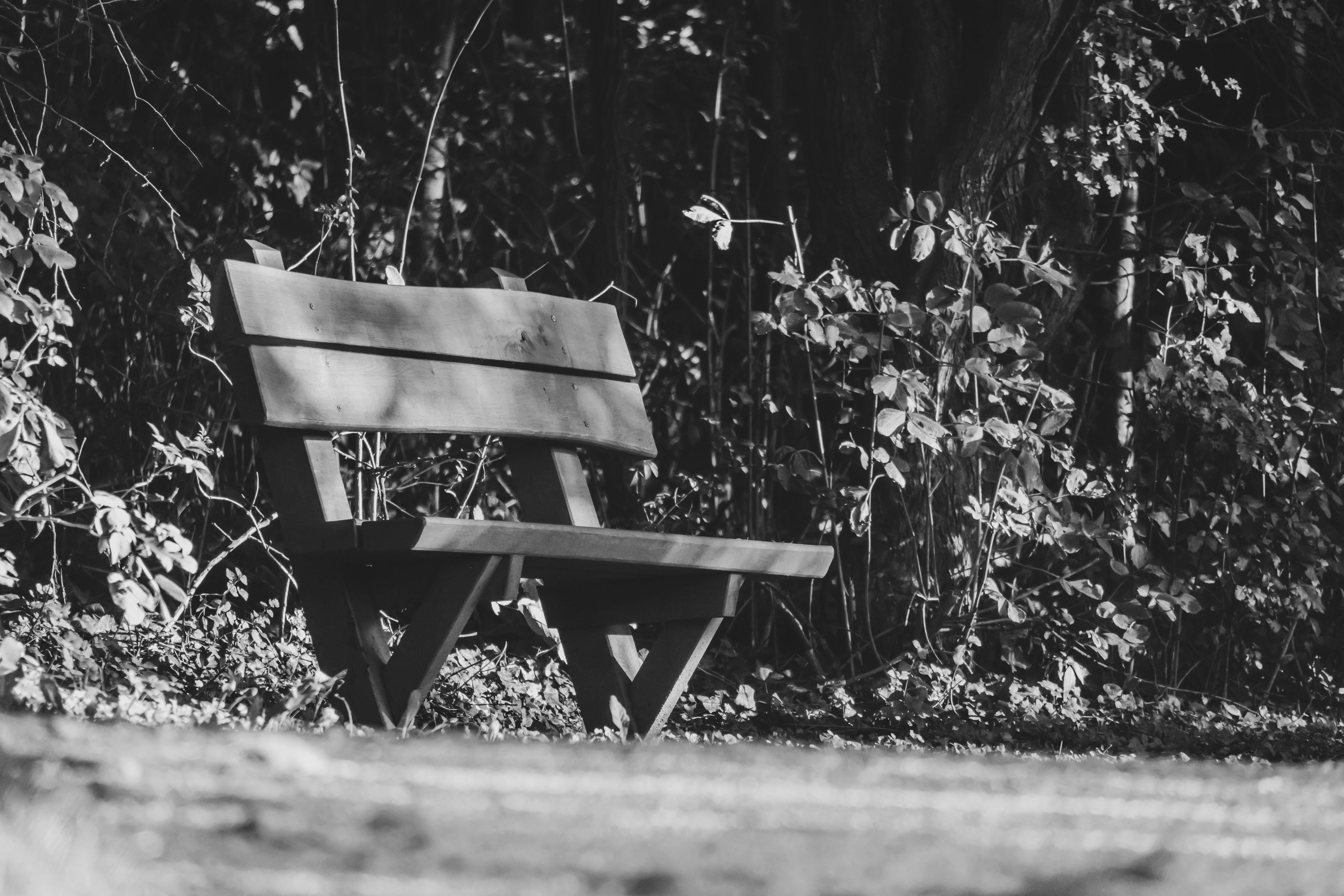 Pécs – Final Summary