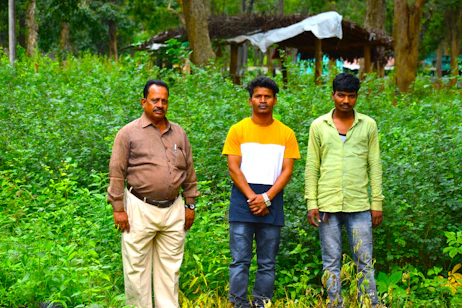 A group of men standing next to each other on a lush green field