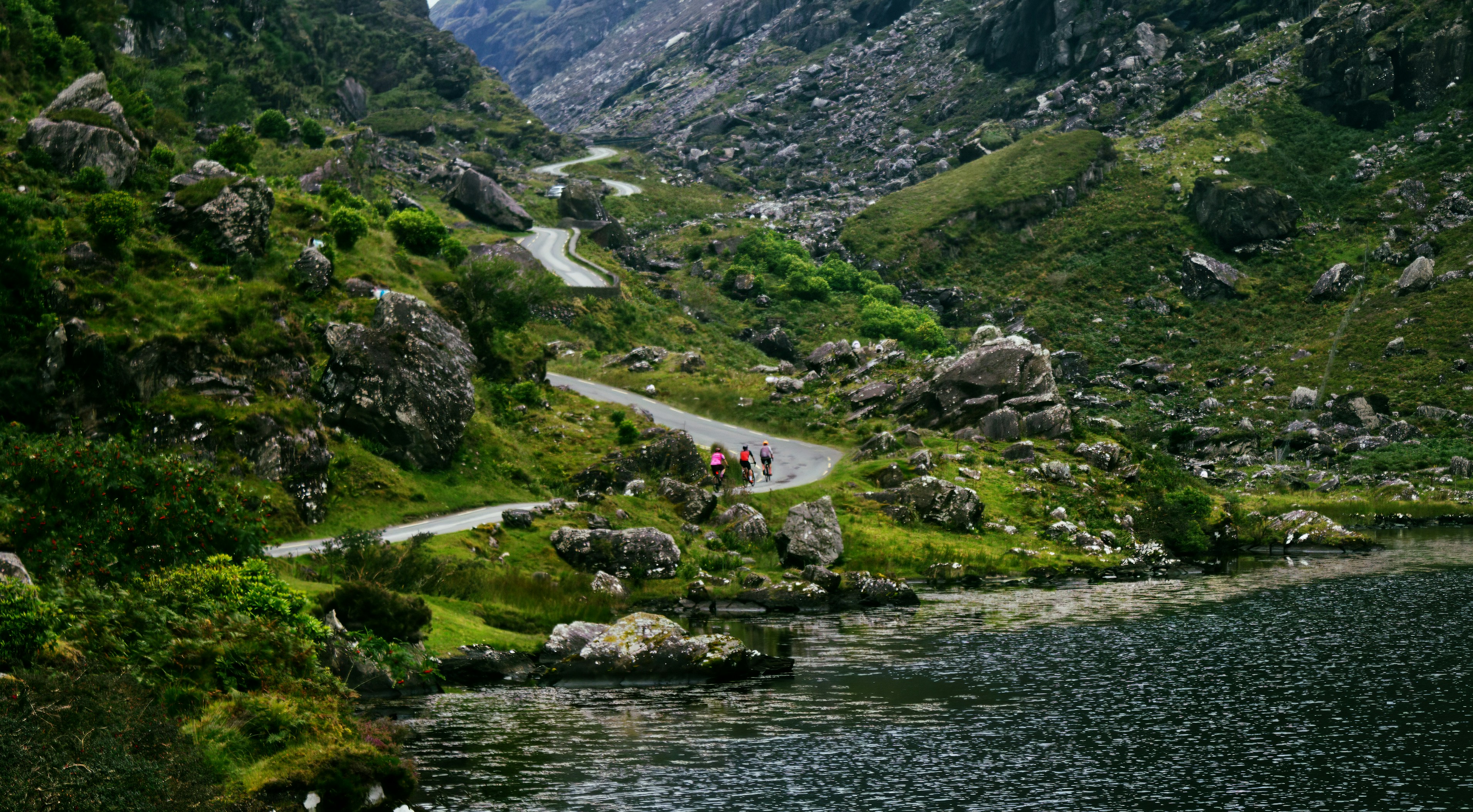 Photo by bullterriere