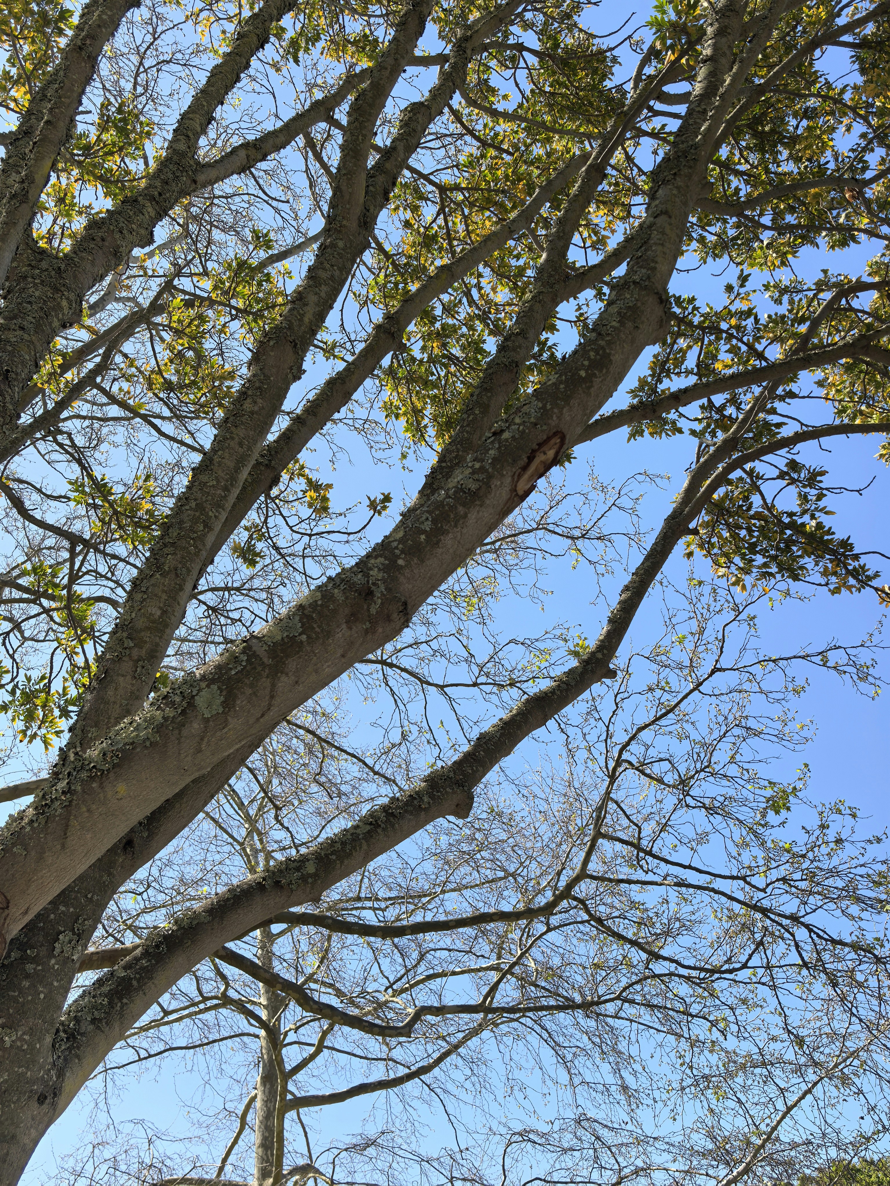 Photo by lisakvictor