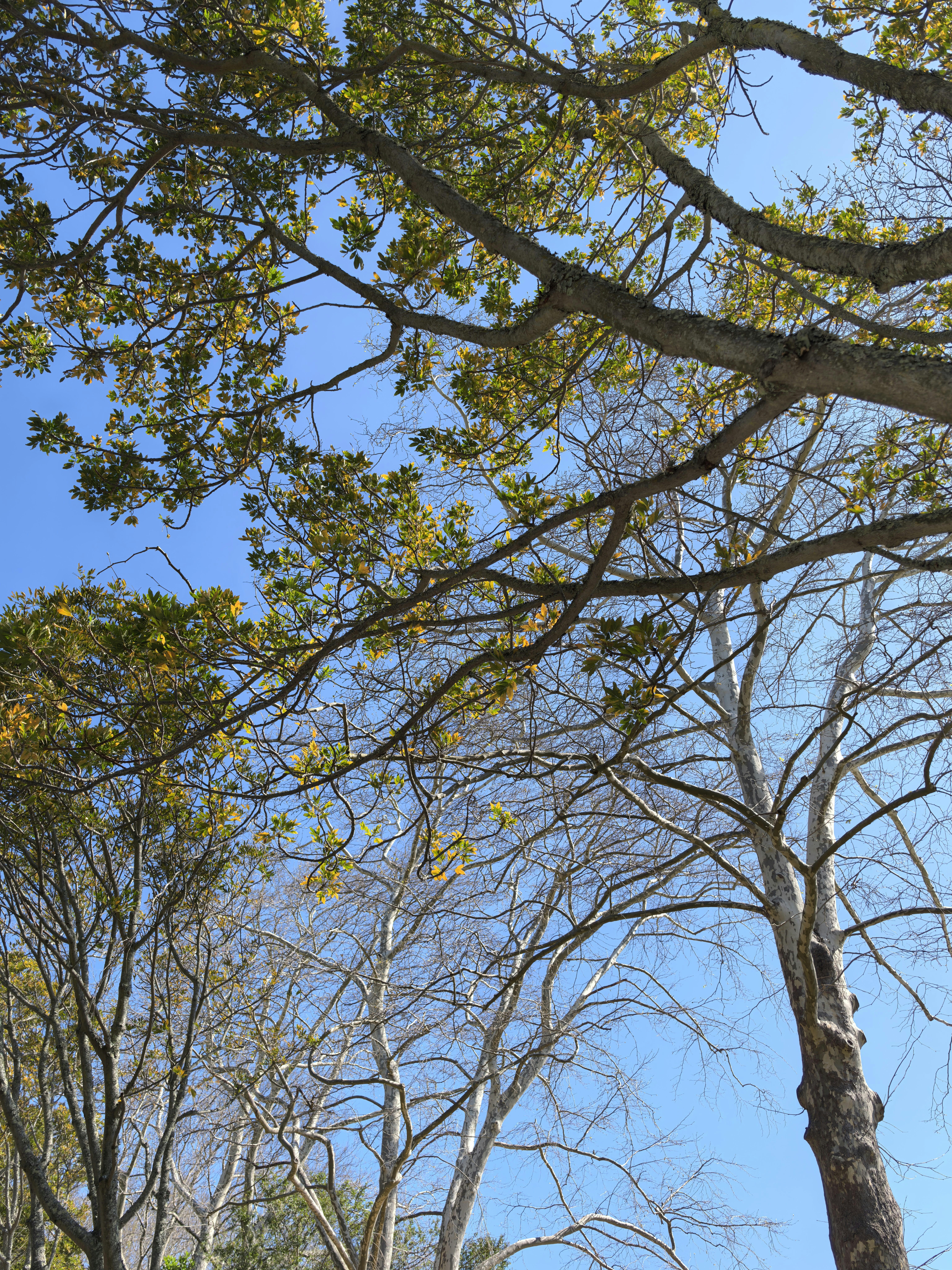 Photo by lisakvictor