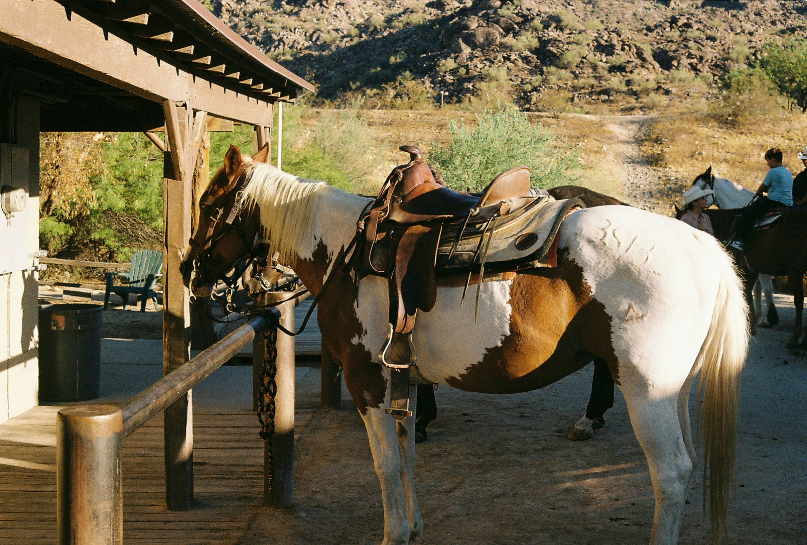 Rustler's Rooste Cowboy Dining