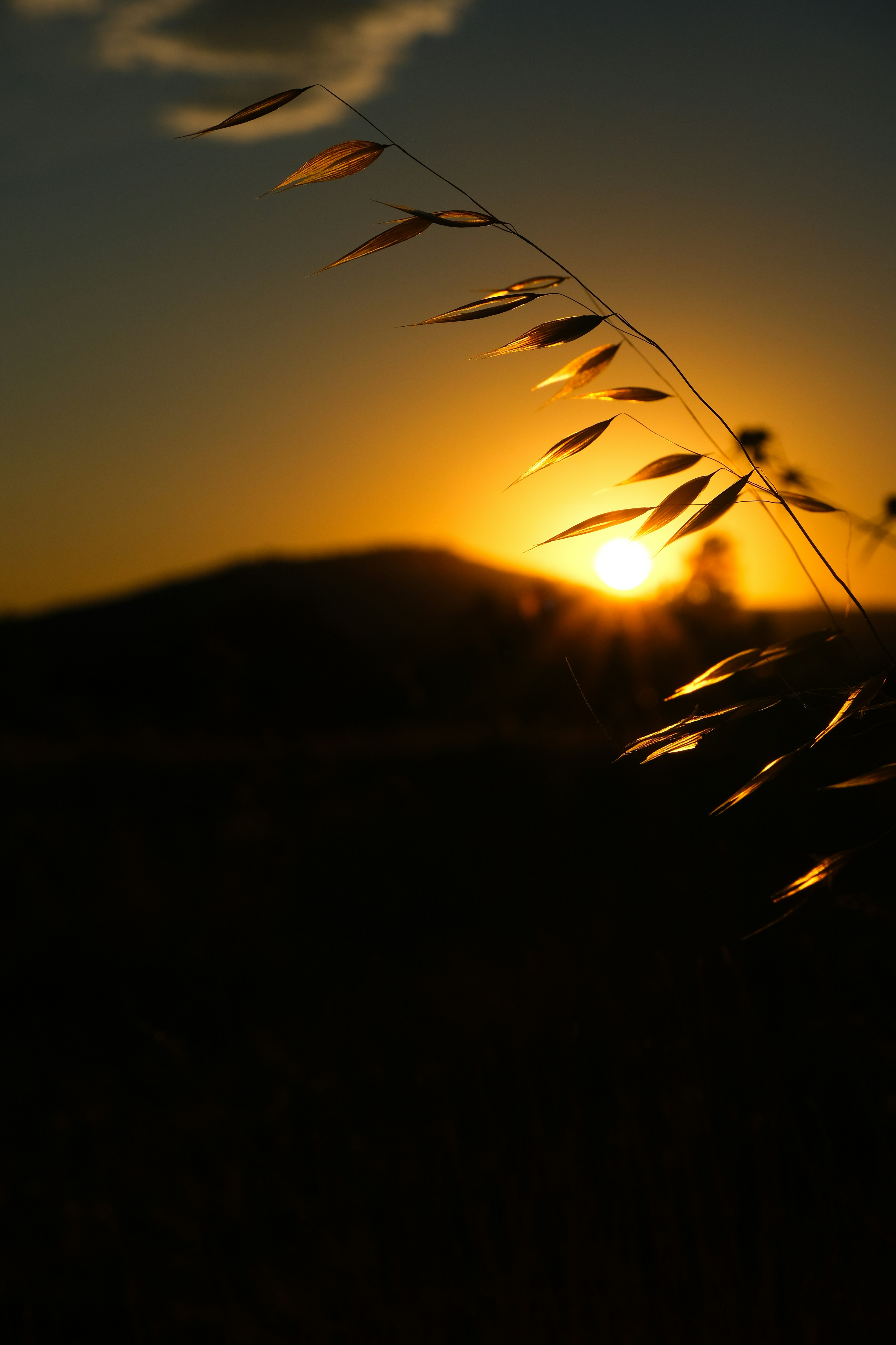 Photo by inthemoodforphotograph