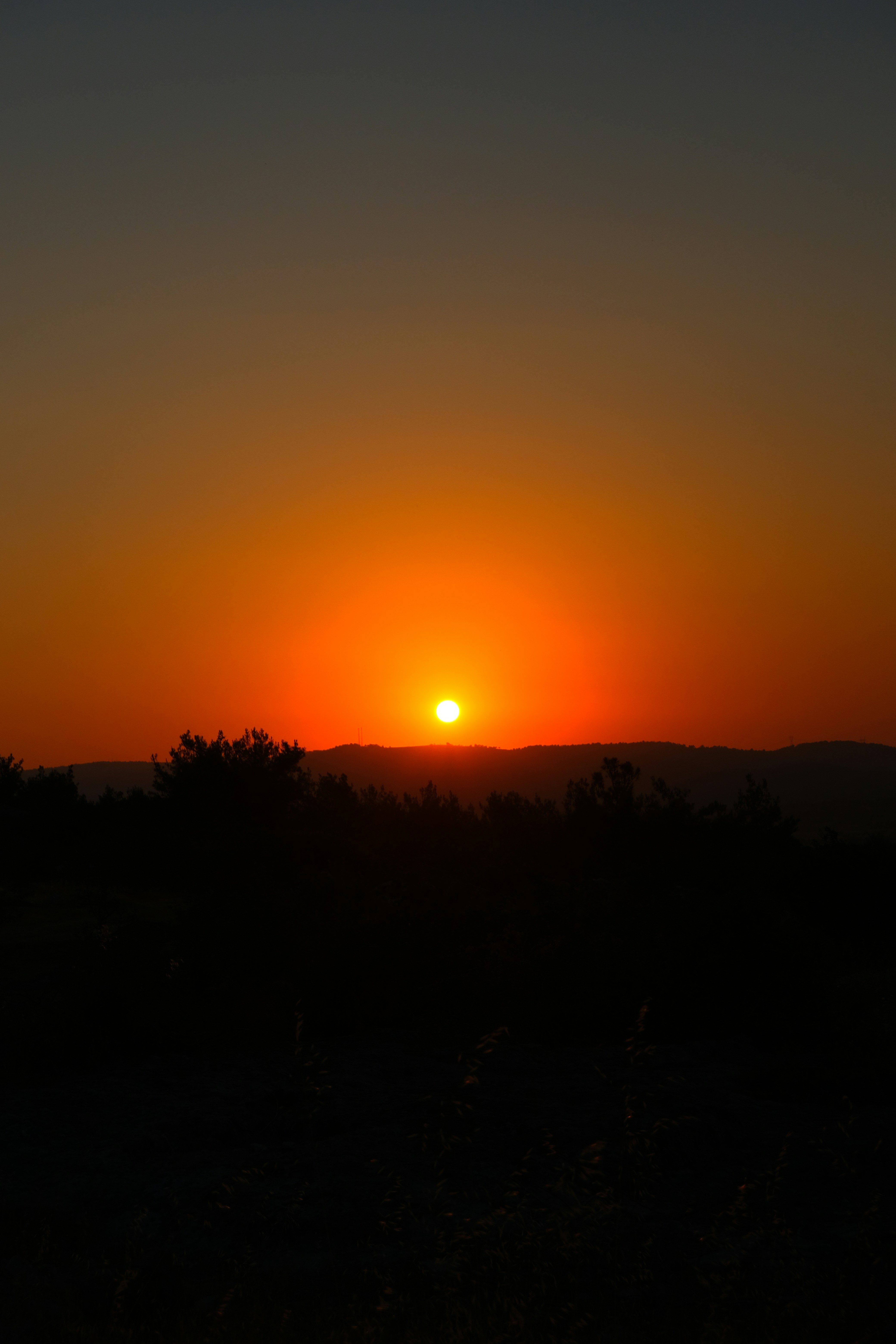 Photo by inthemoodforphotograph