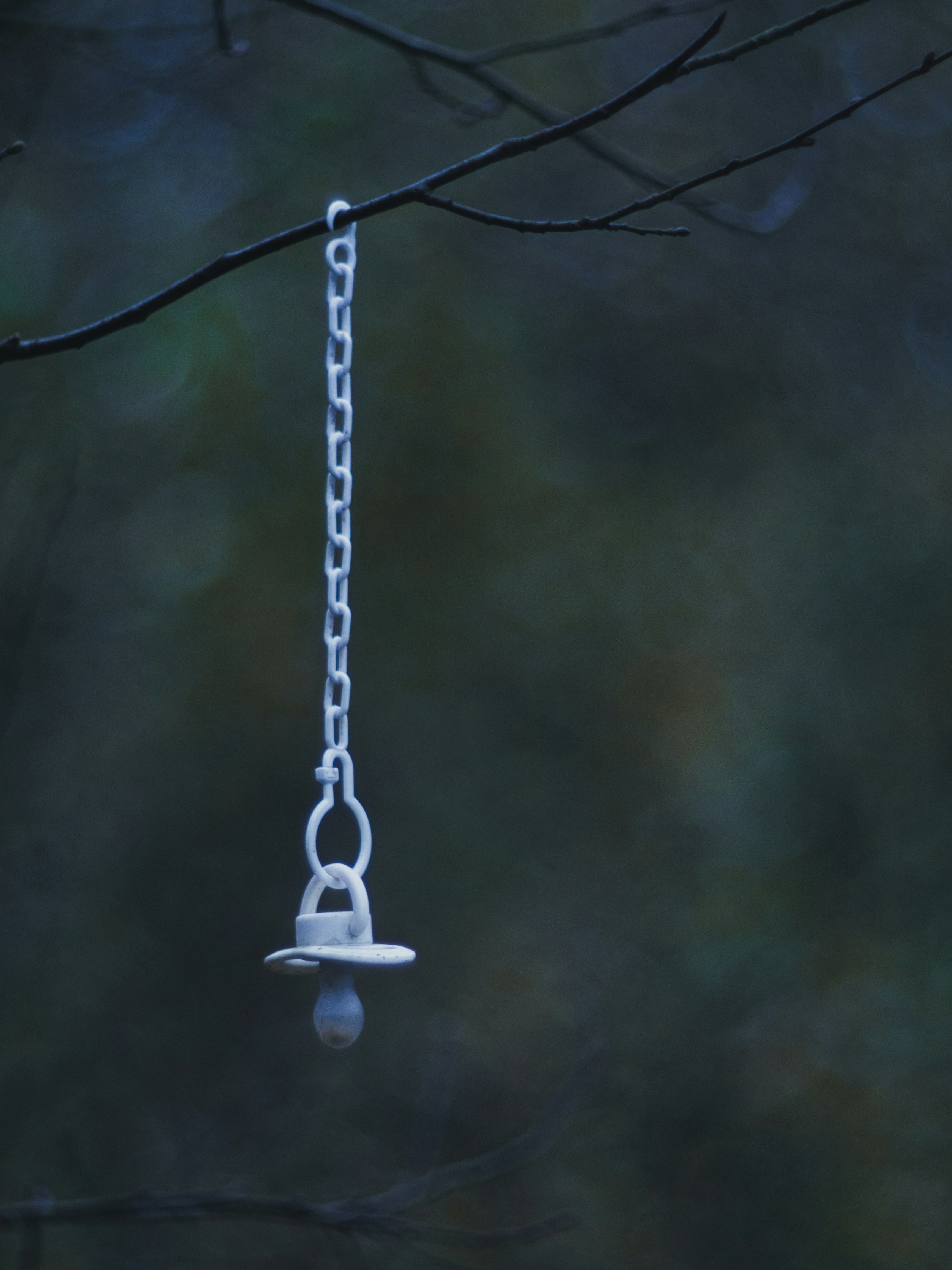 Ein Vogelfutterhäuschen, das an einem Ast hängt