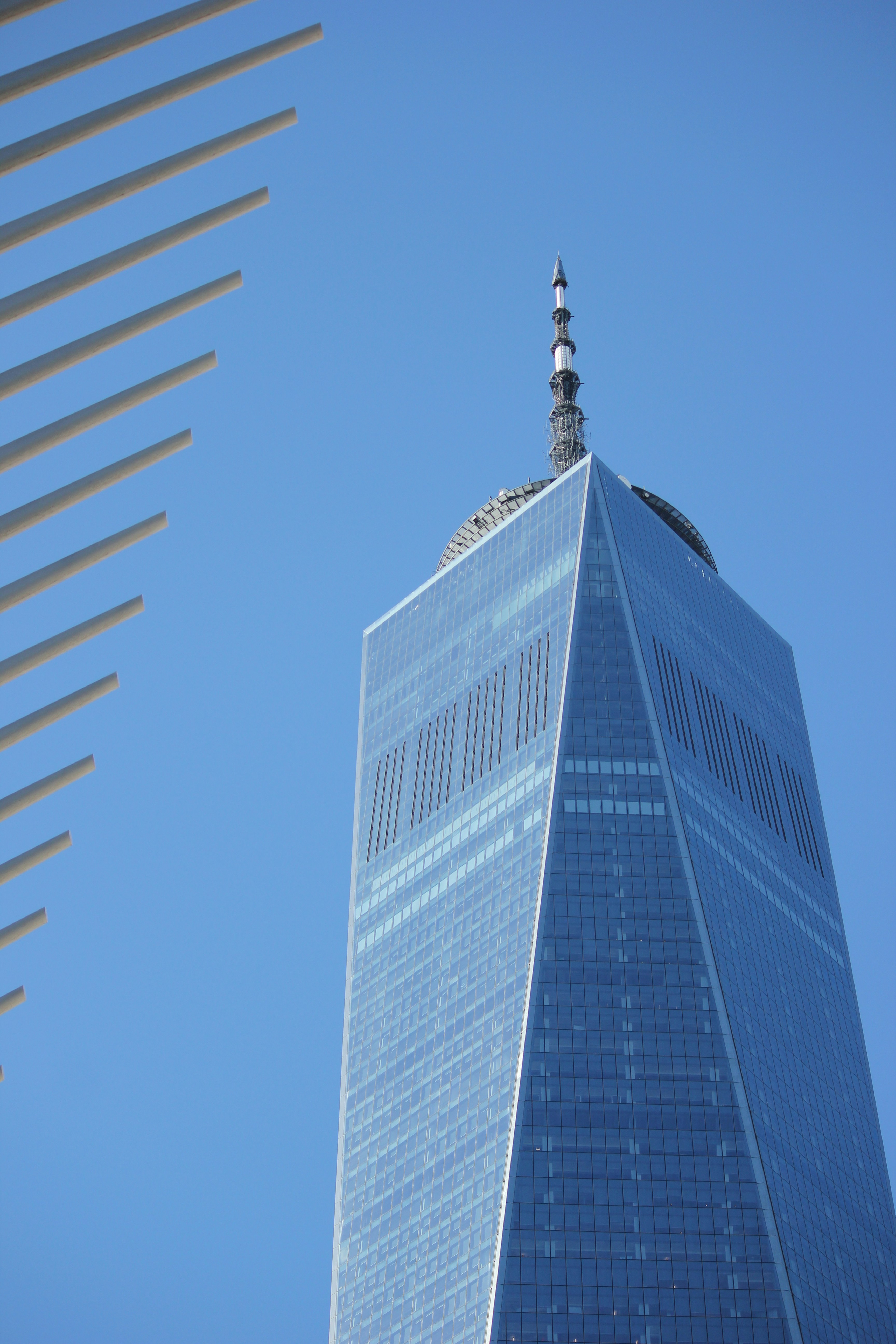 Photo by frolicsomefairy