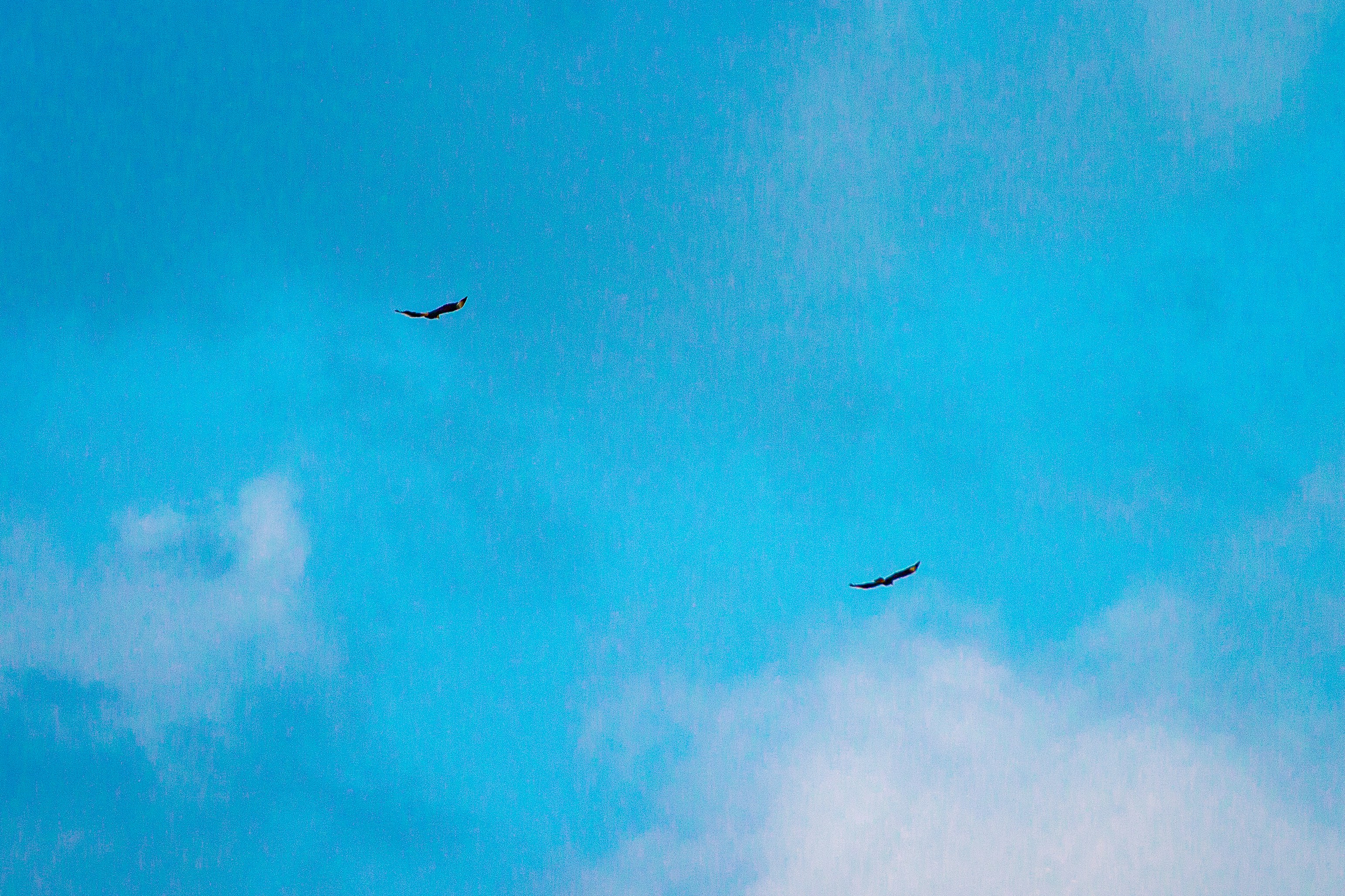 Photo by lucianooliveira