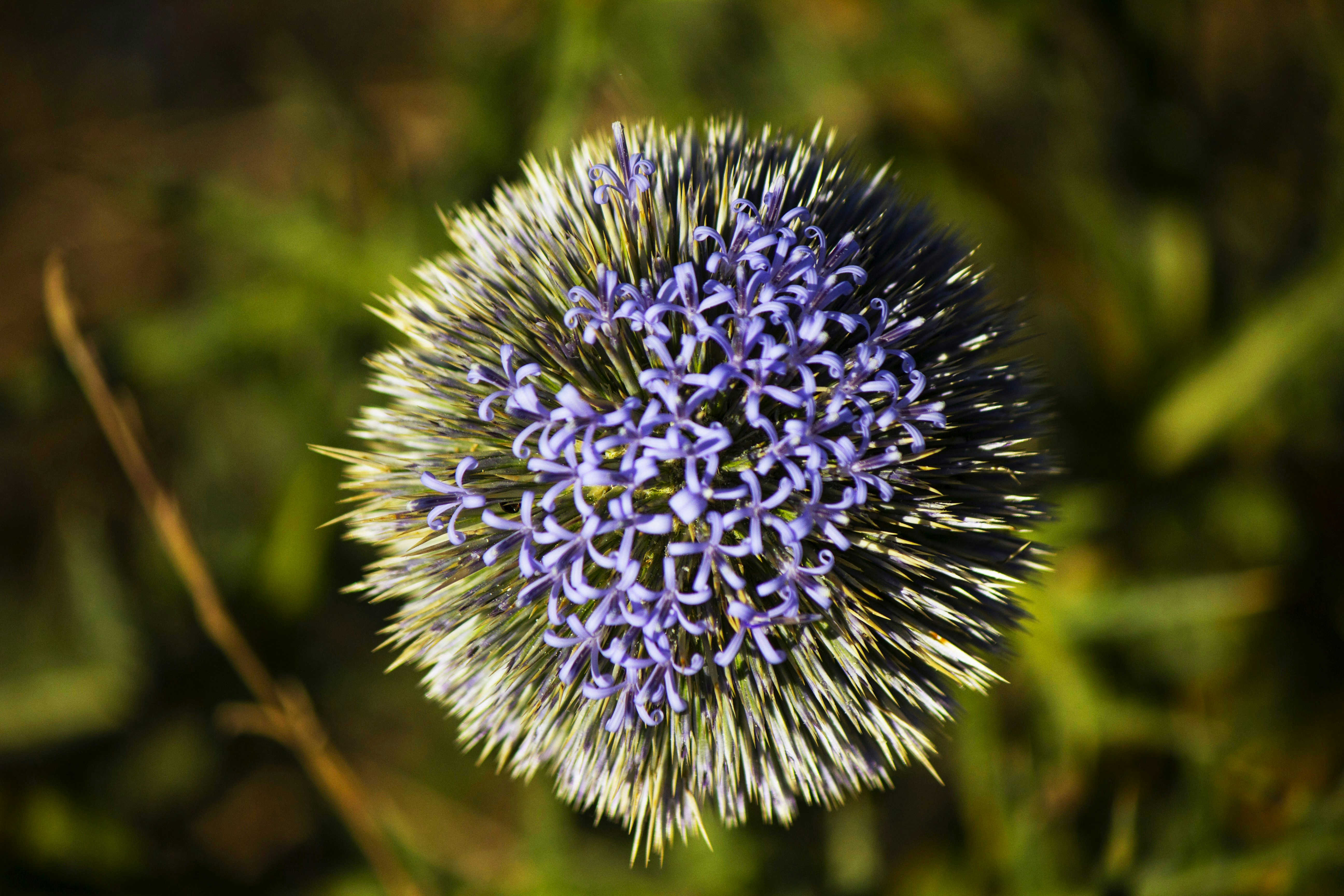 Photo by cengizozarpat