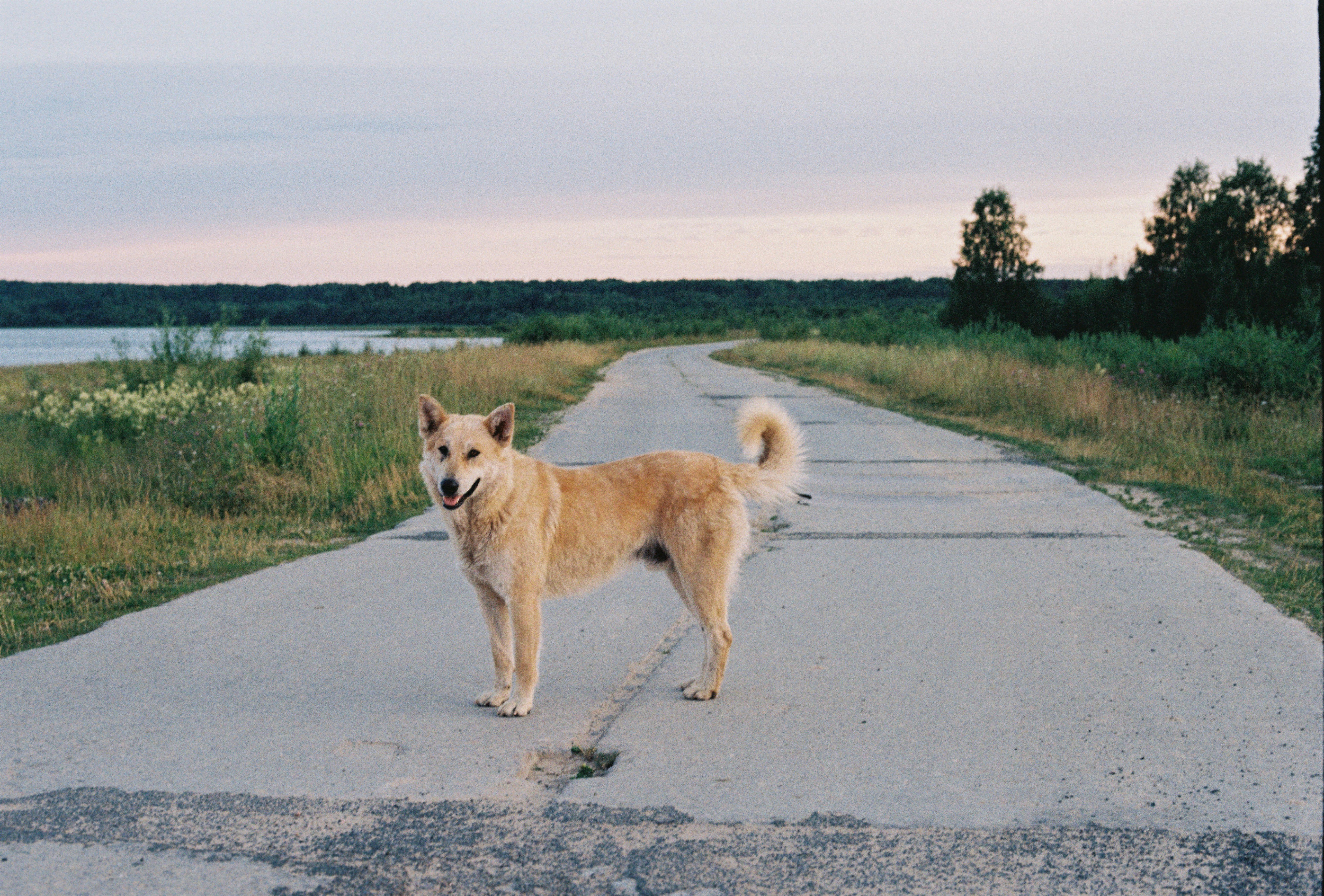 The Meaning Behind Side-Lean Stops