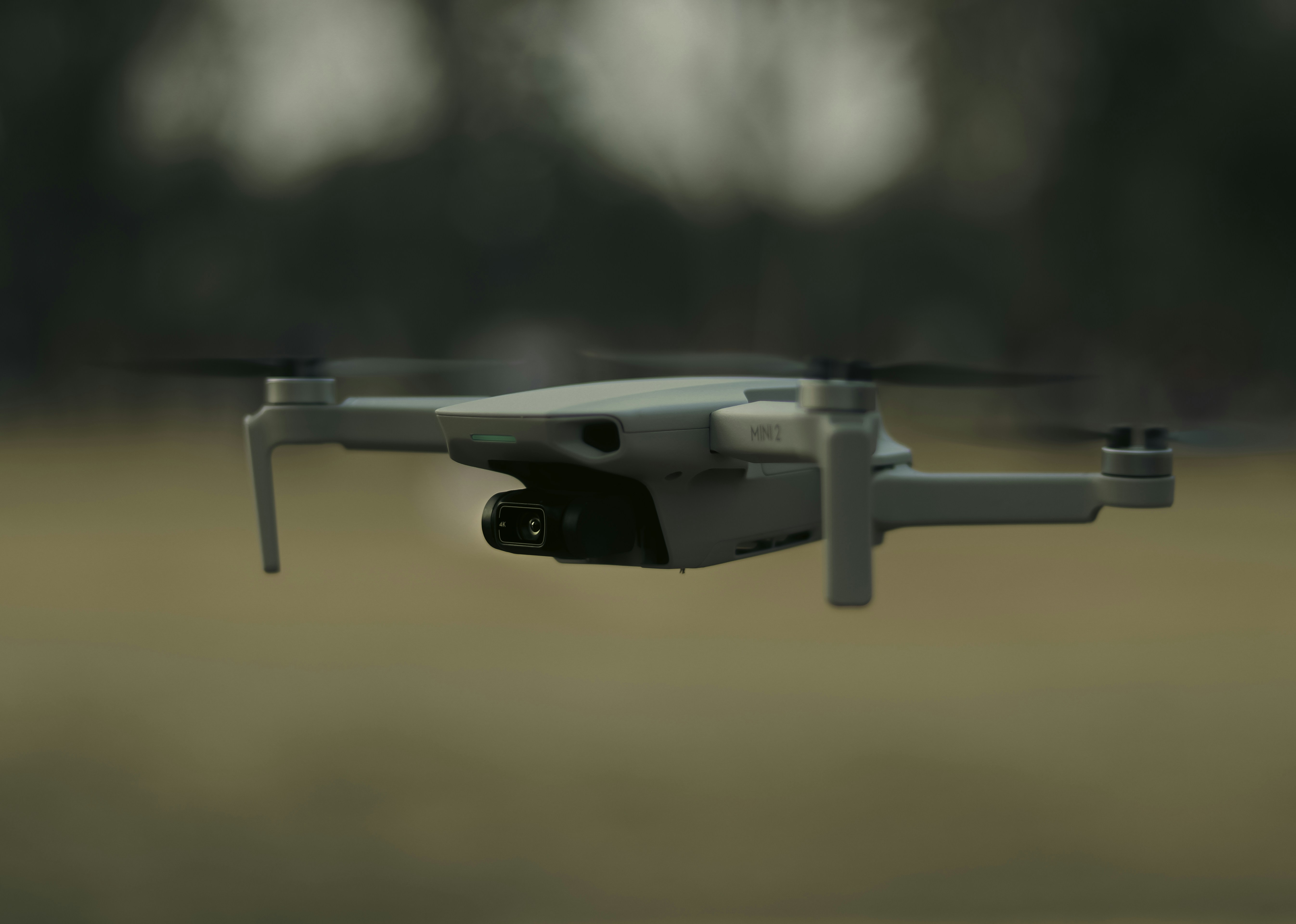 Photo by mohammad_samir