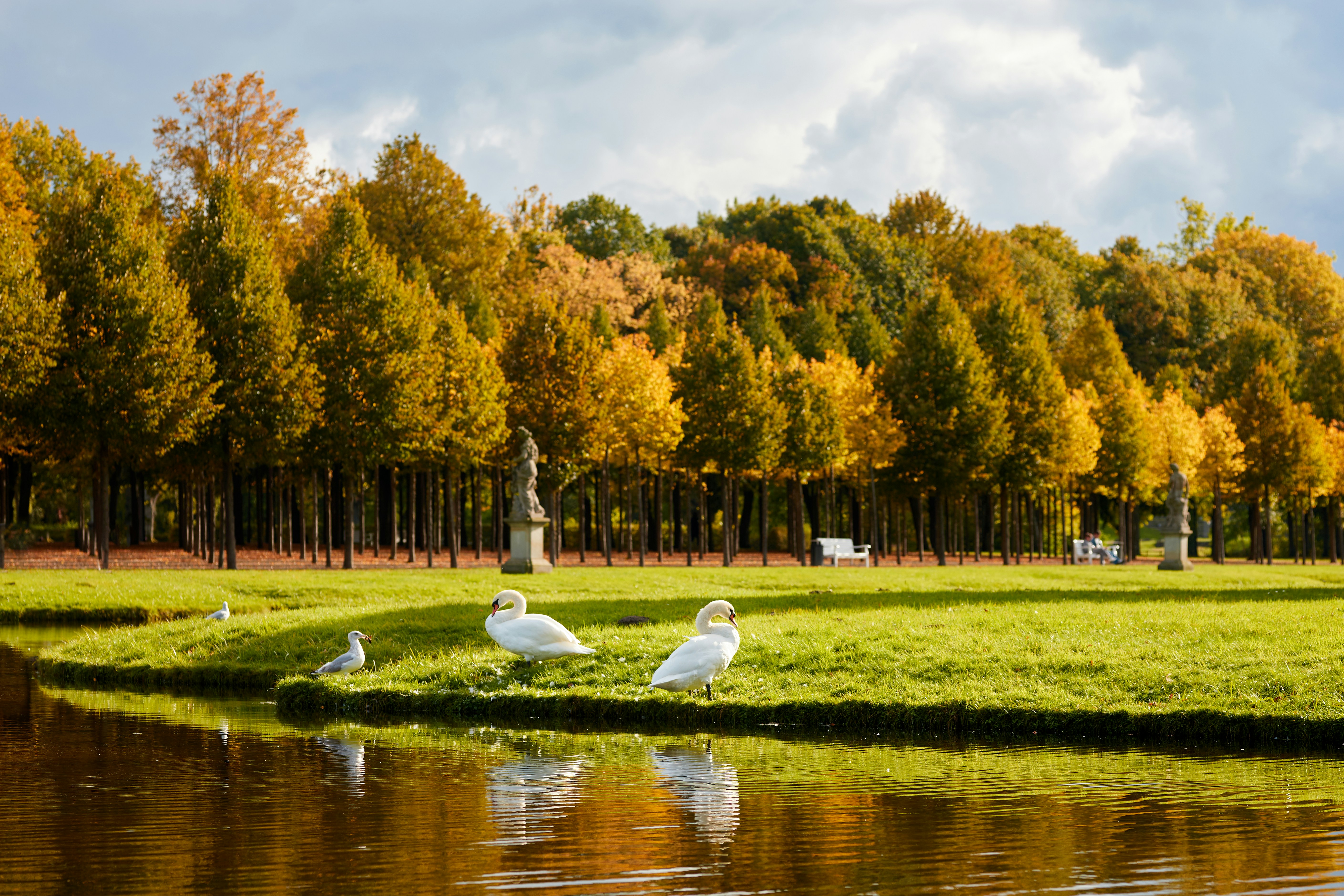 Image by Oleksandr Parfeniuk via Unsplash