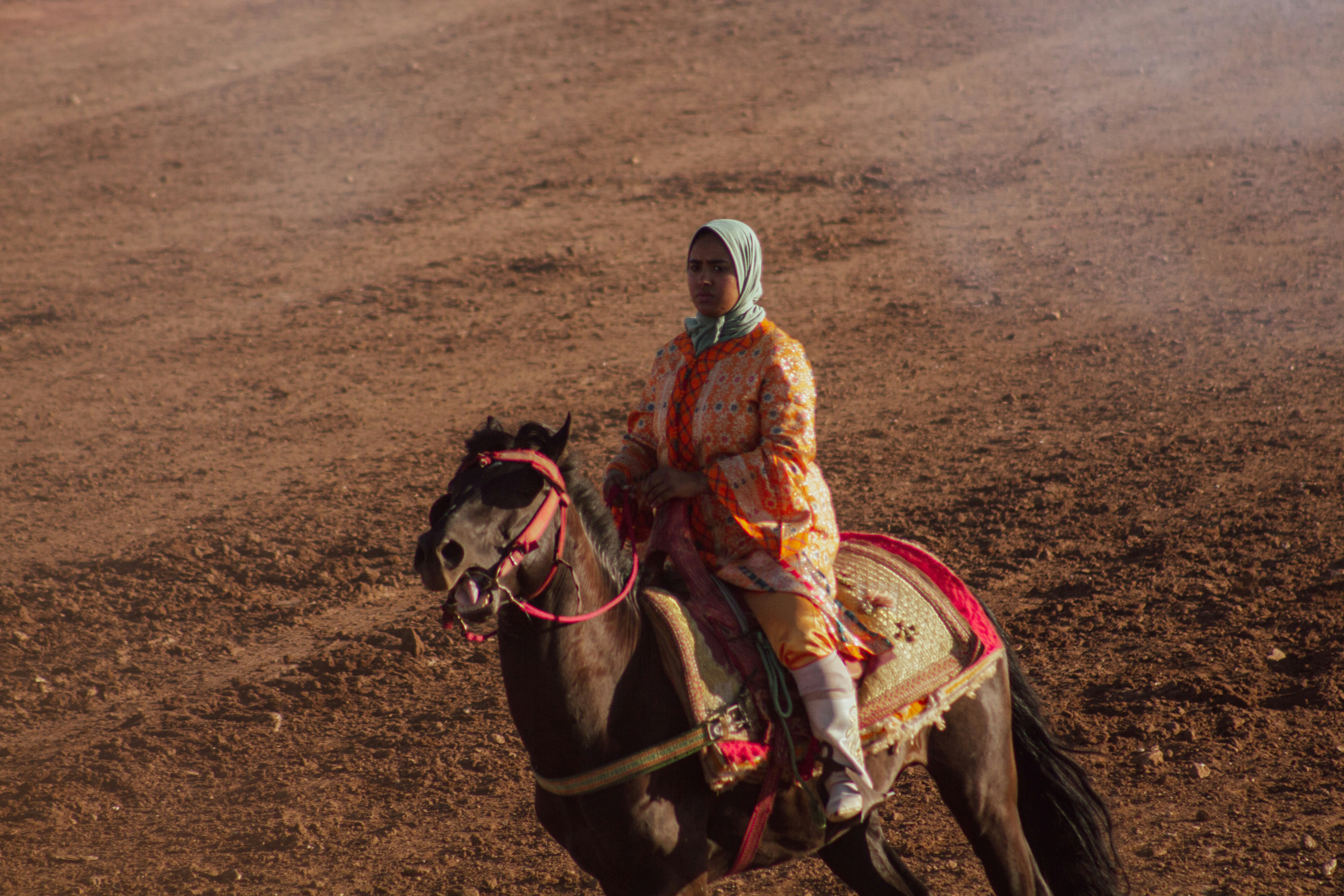 Taza, Morocco - Moroccan Tbourida art