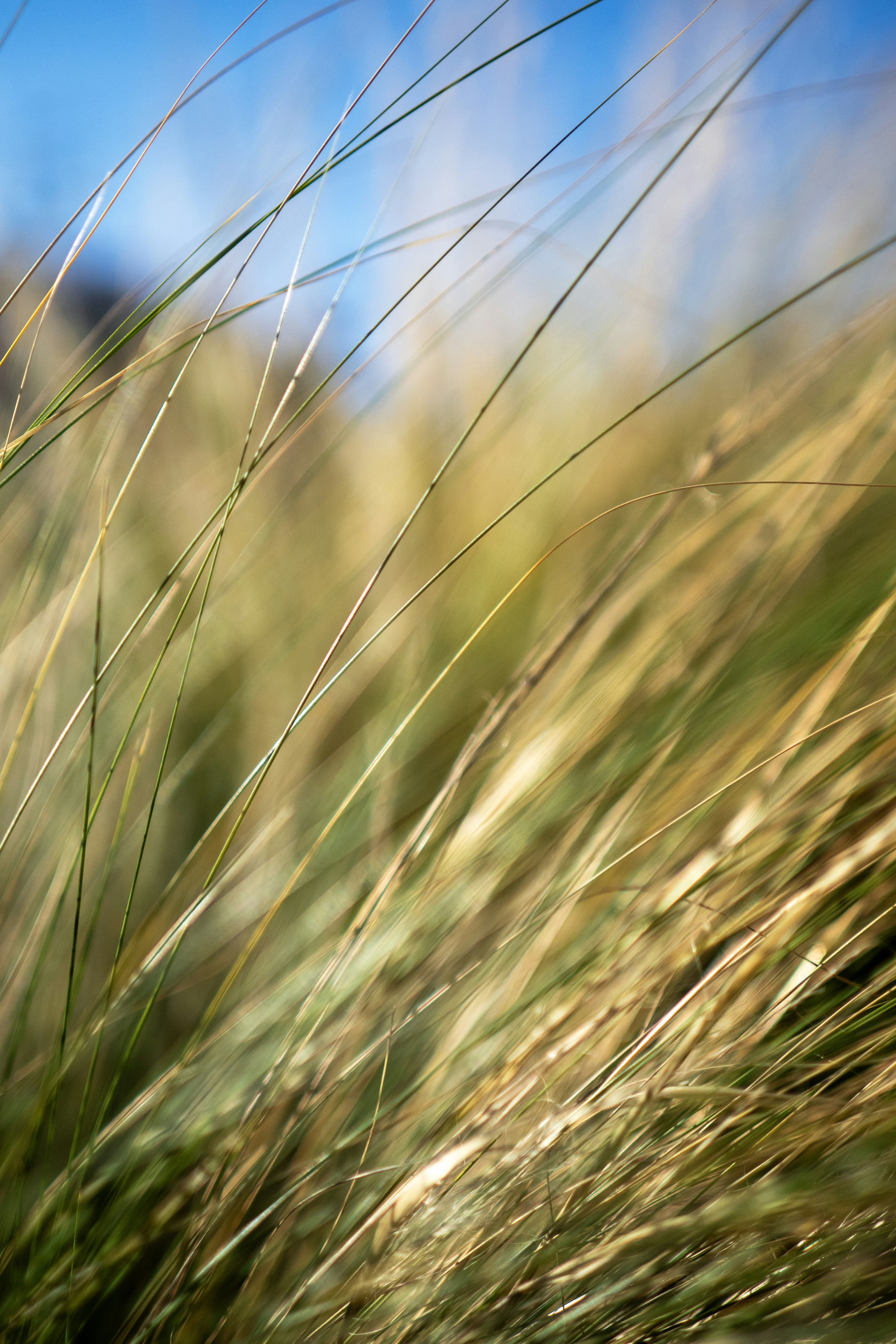 Photo by timeofblende