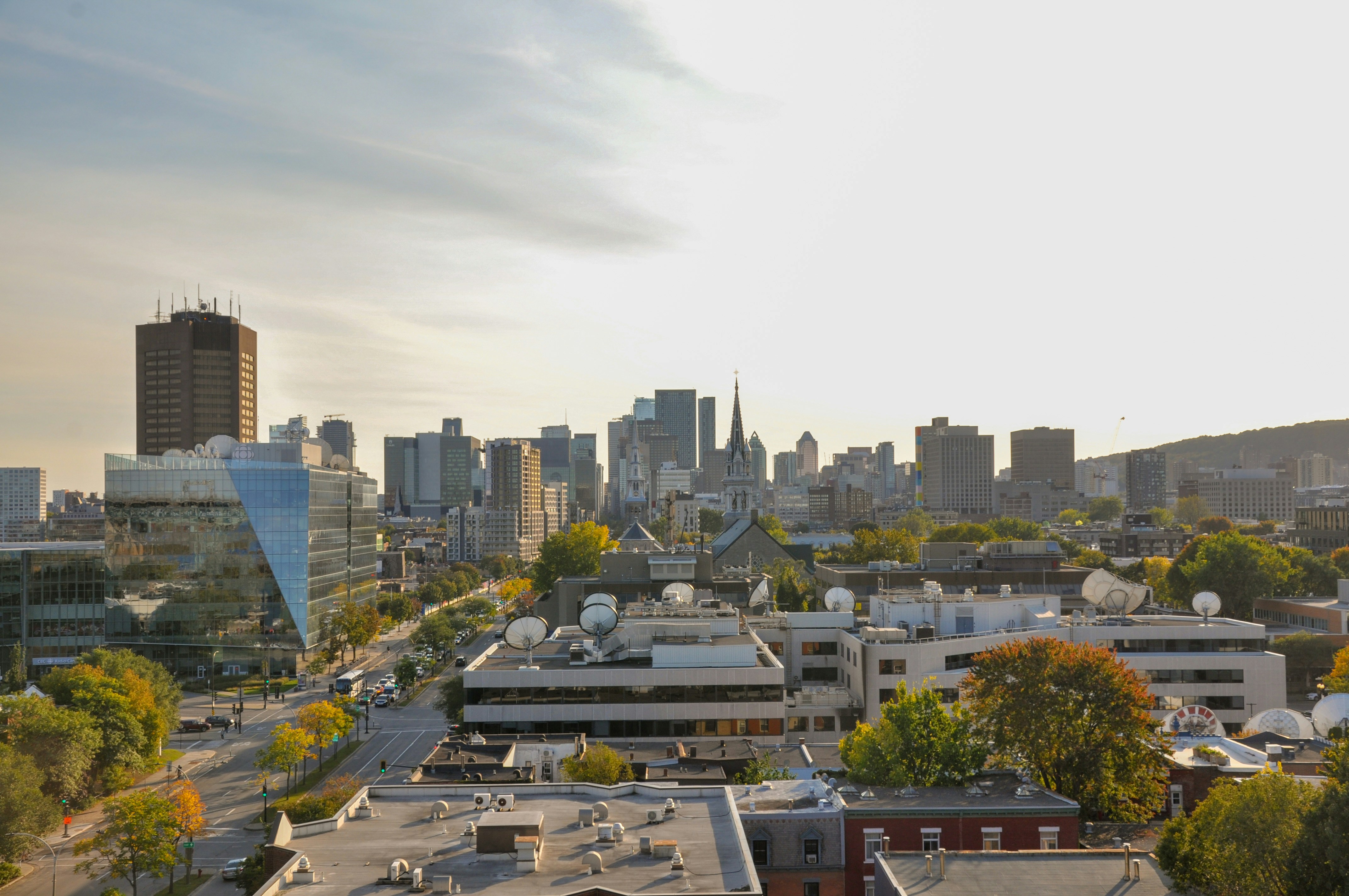 Photo by frenchieraw