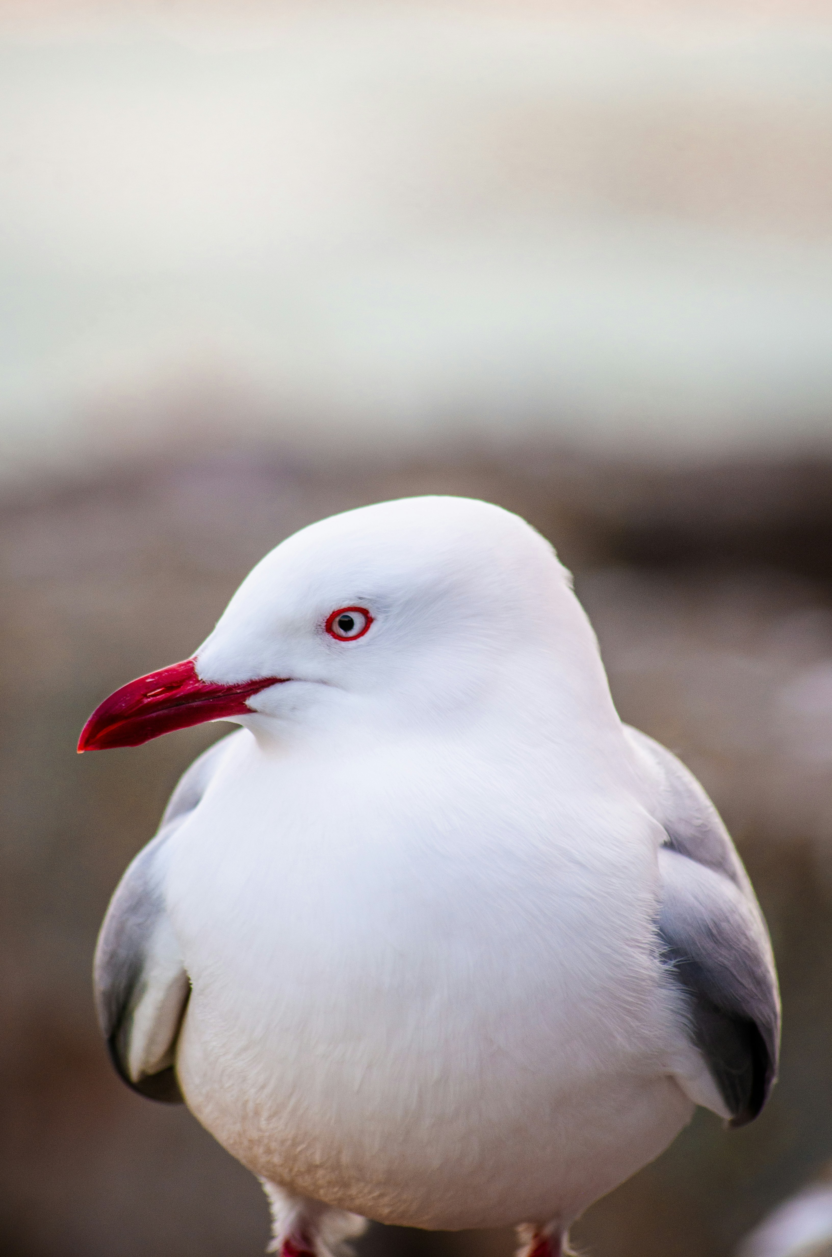 Photo by framesofdiscovery