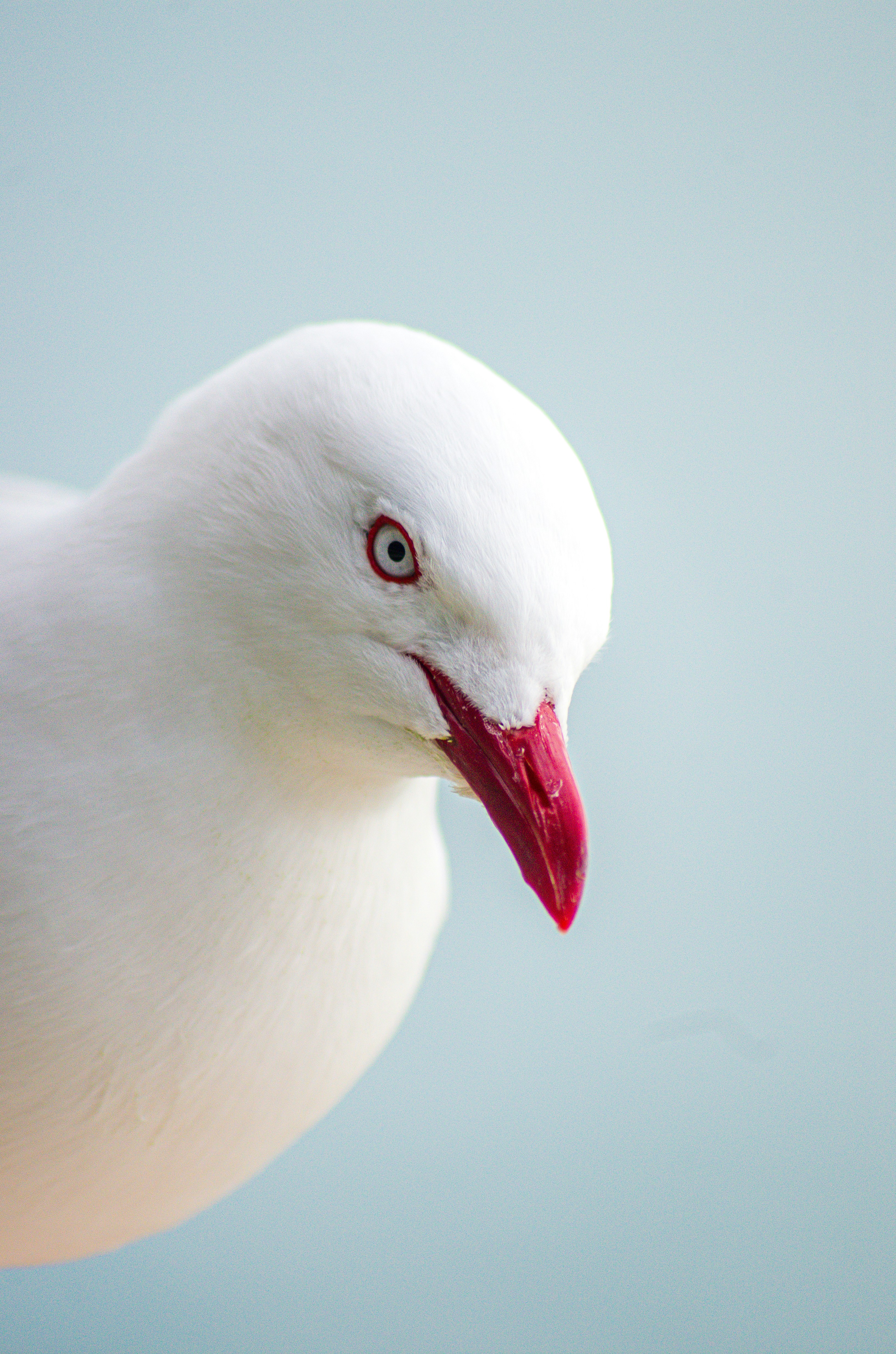 Photo by framesofdiscovery