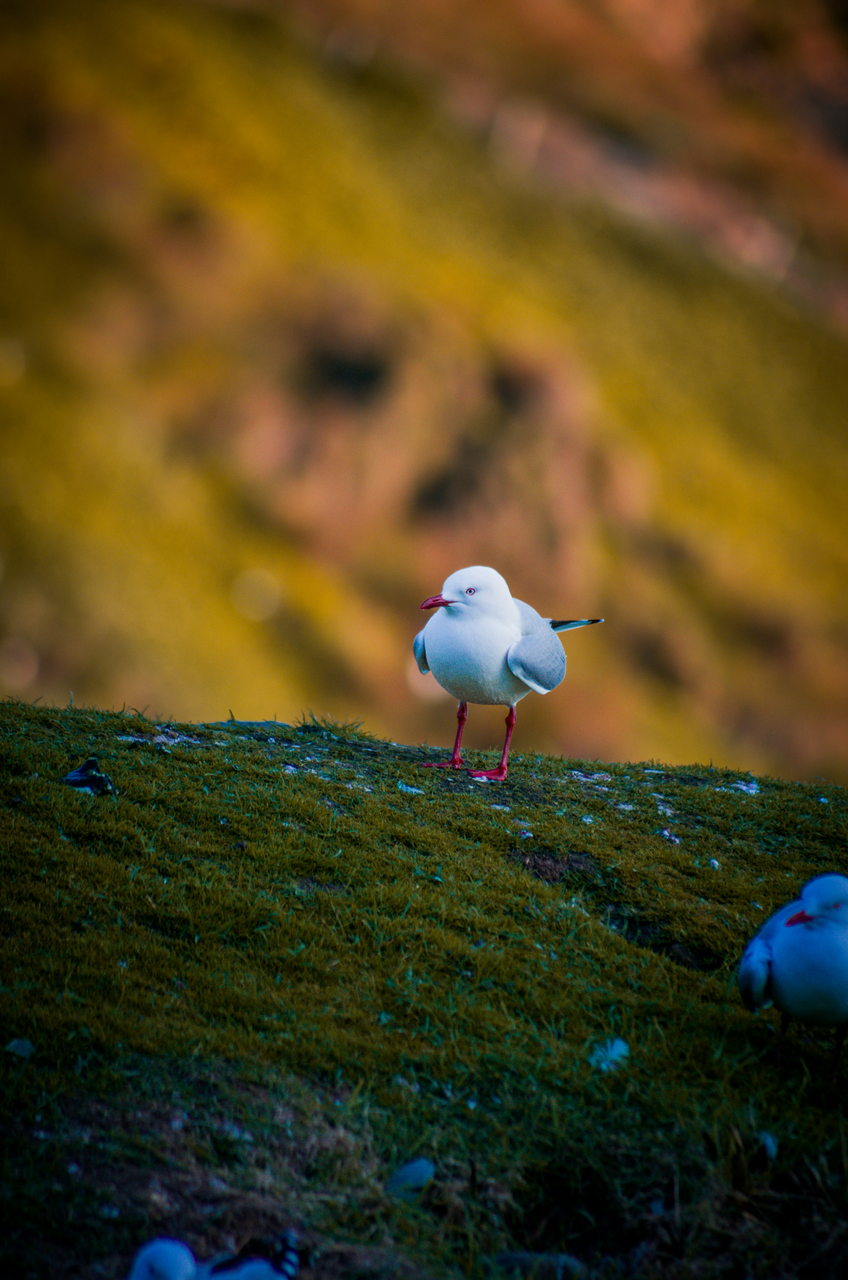 Photo by framesofdiscovery