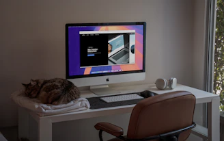 A cat laying on a desk next to a computer