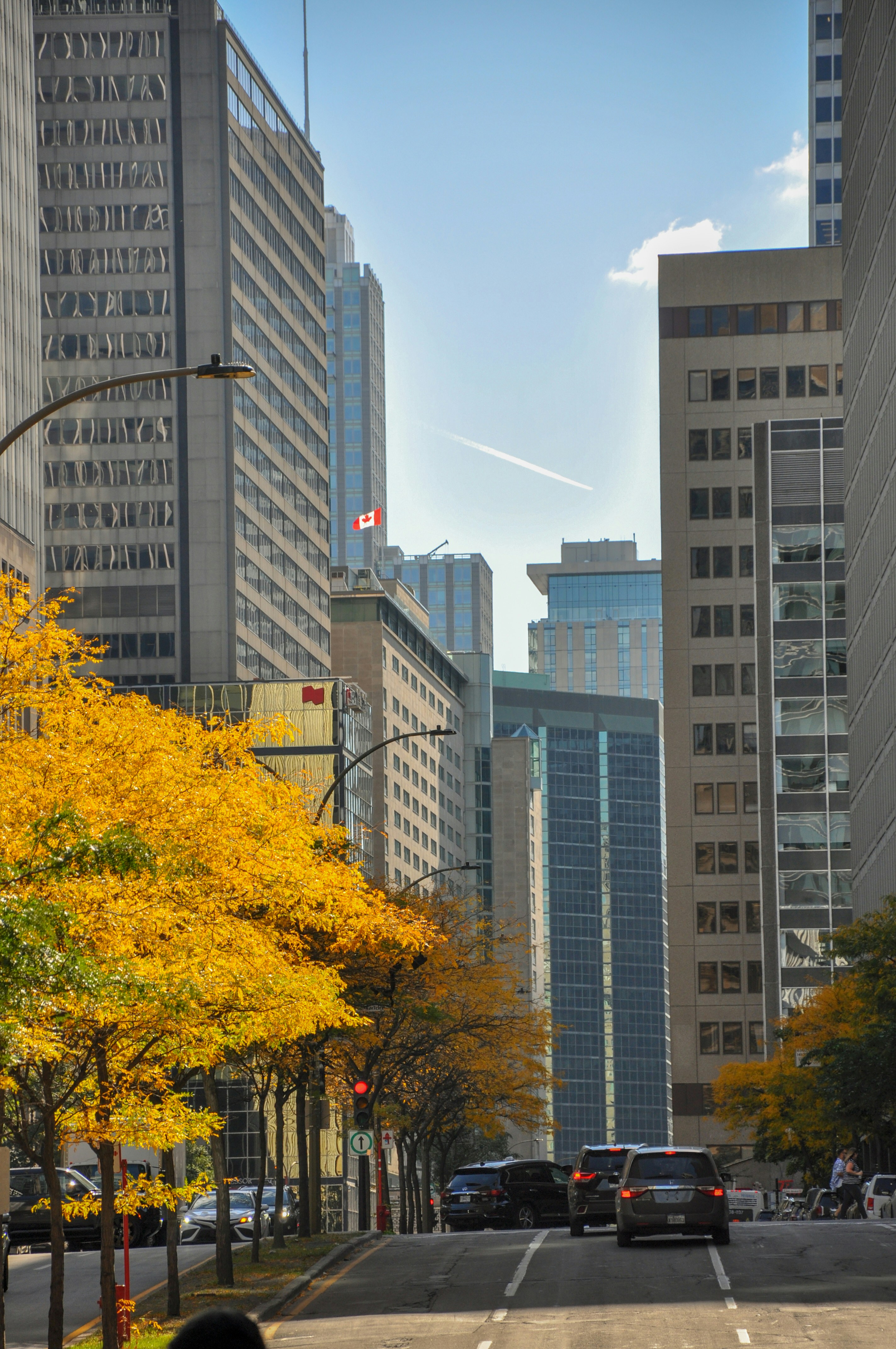 Photo by frenchieraw