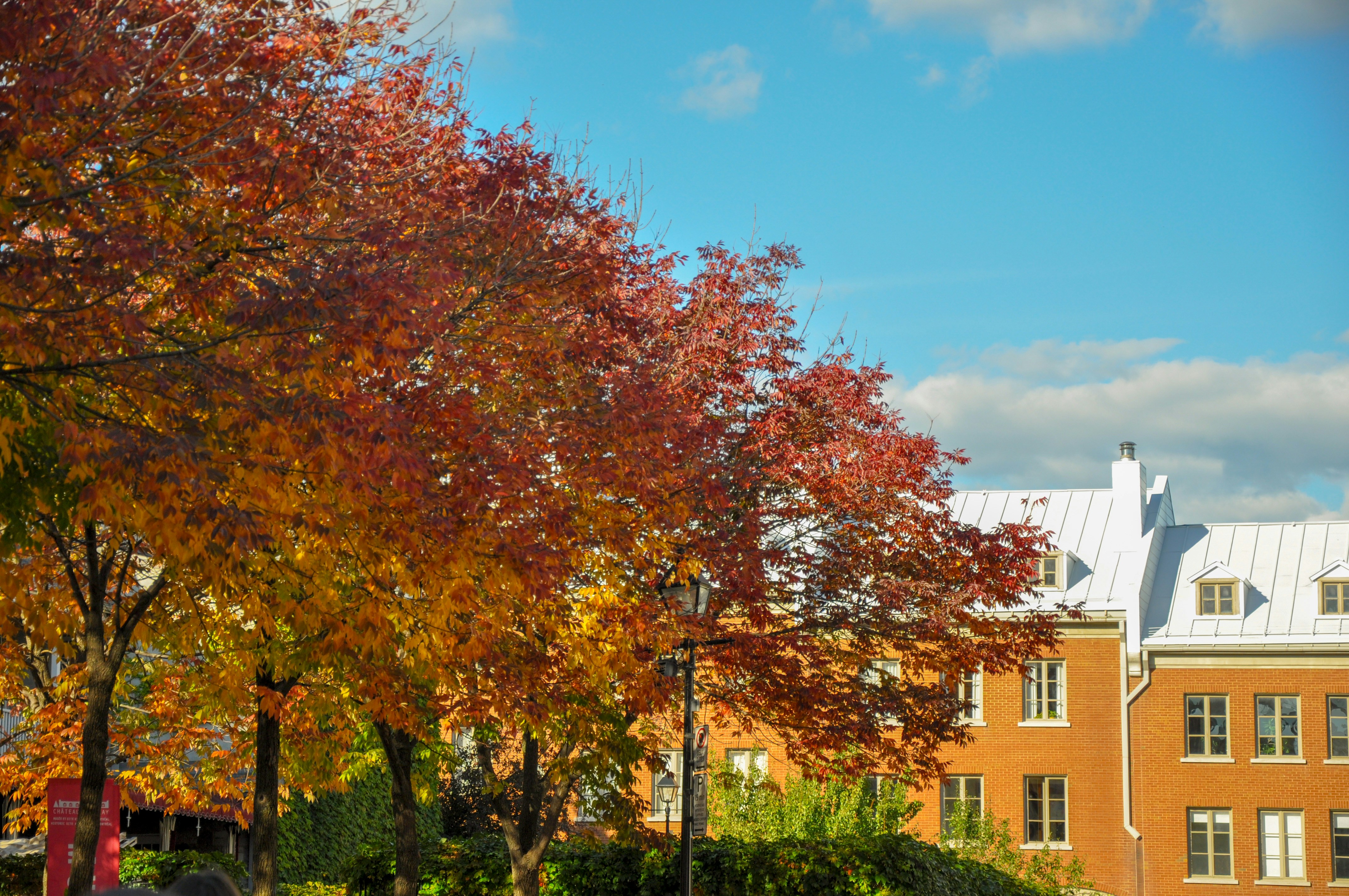 Photo by frenchieraw