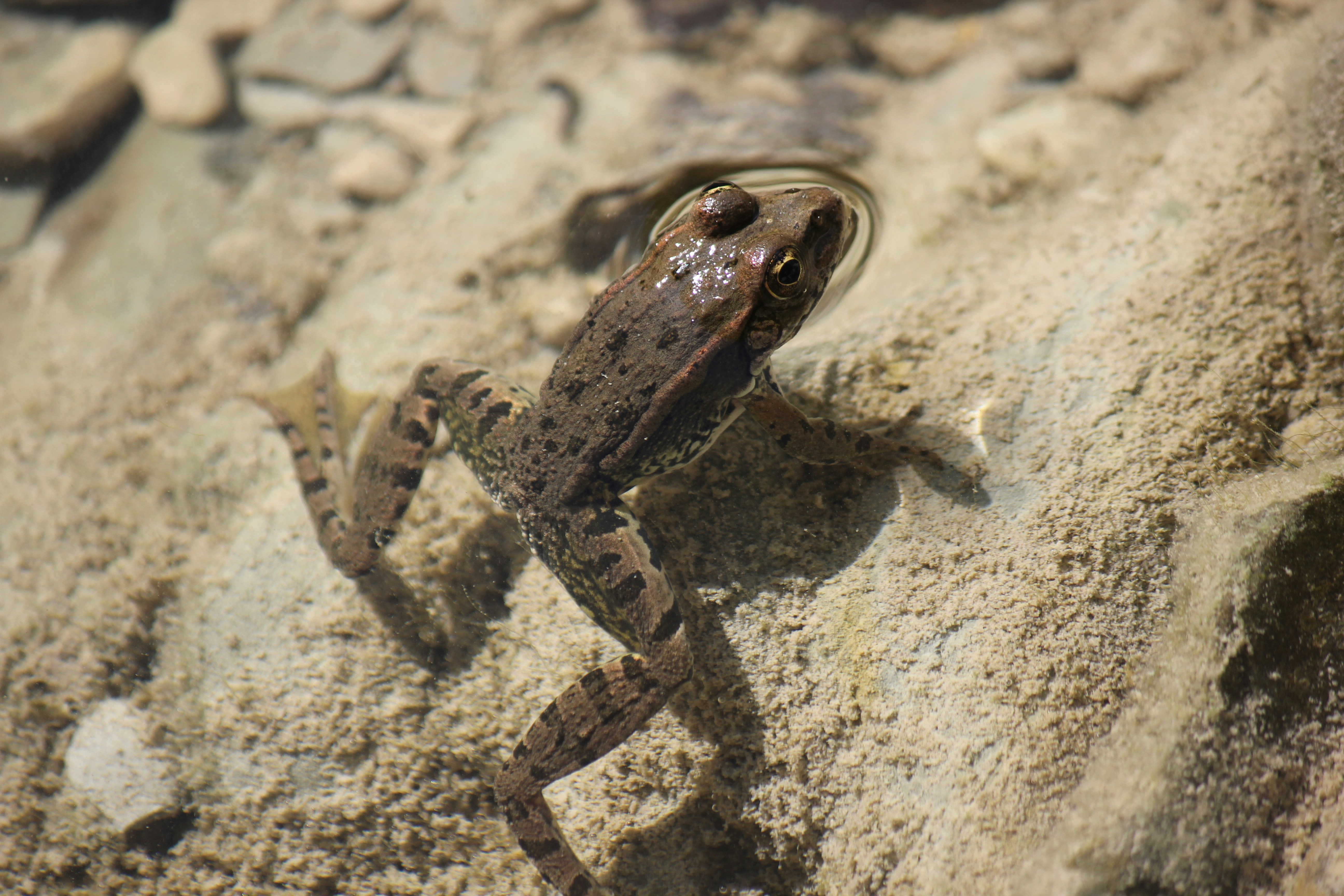 Photo by stepan_konev