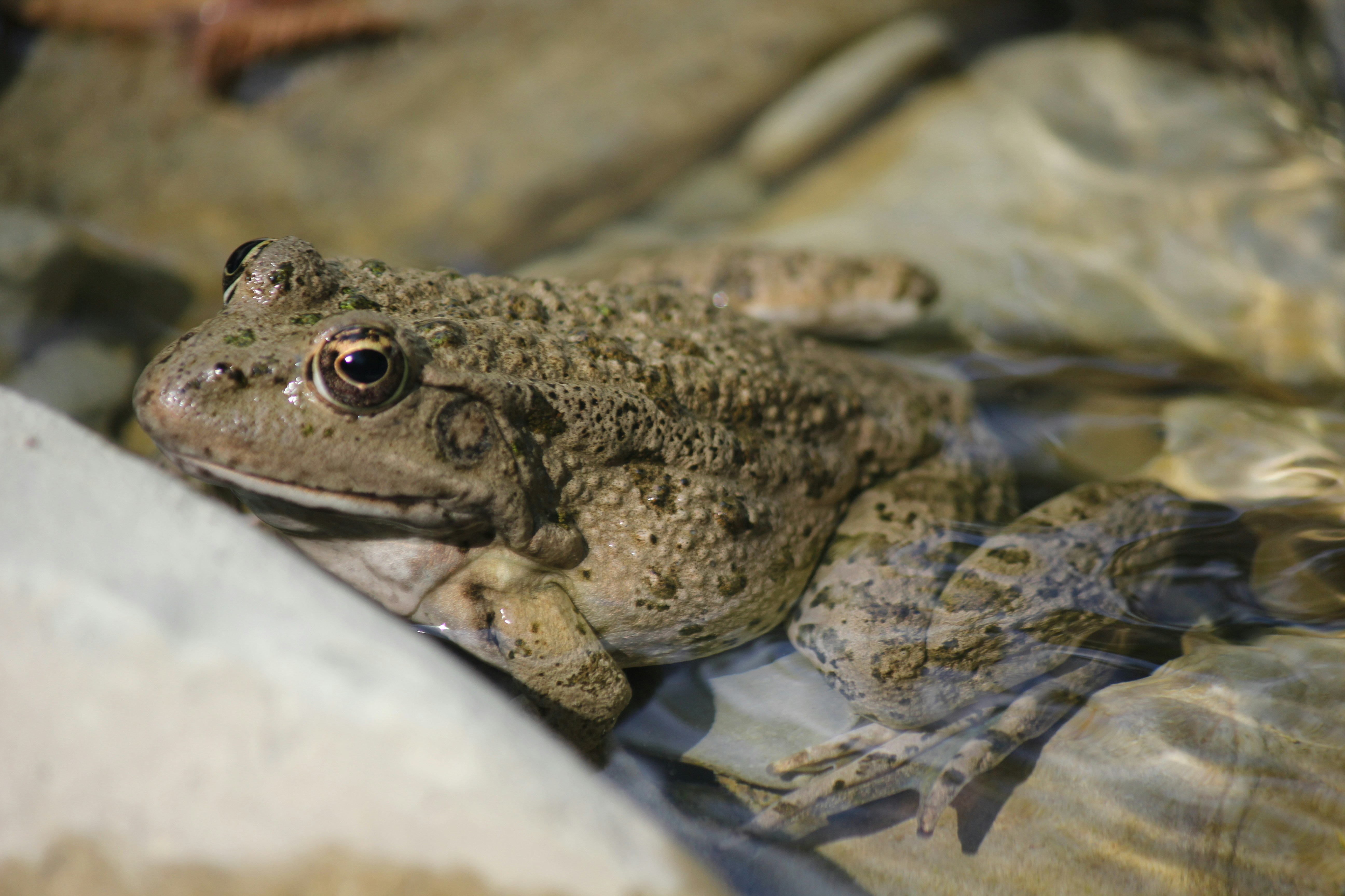 Photo by stepan_konev