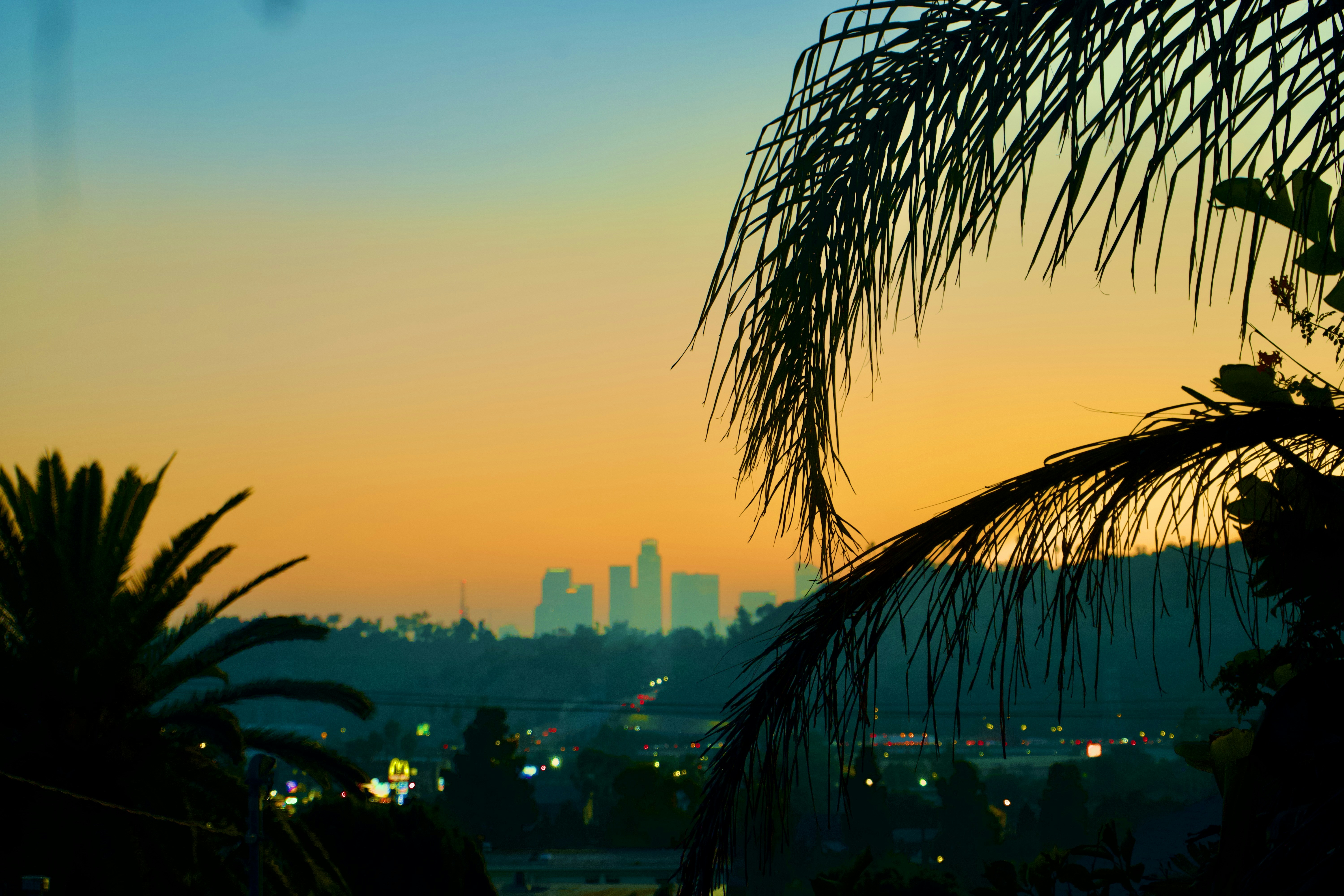 A view of a city at sunset from a hill