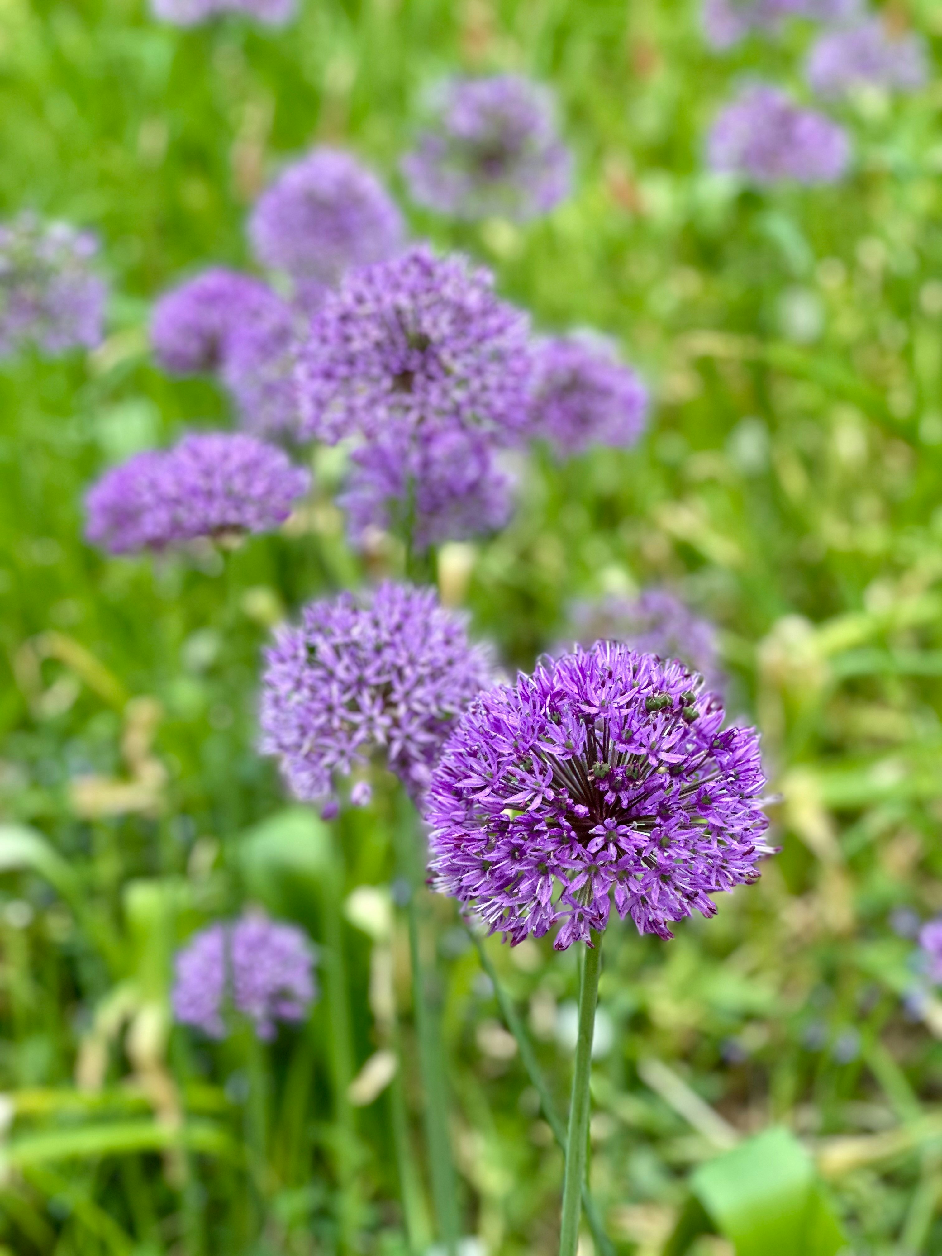 Photo by timeofblende