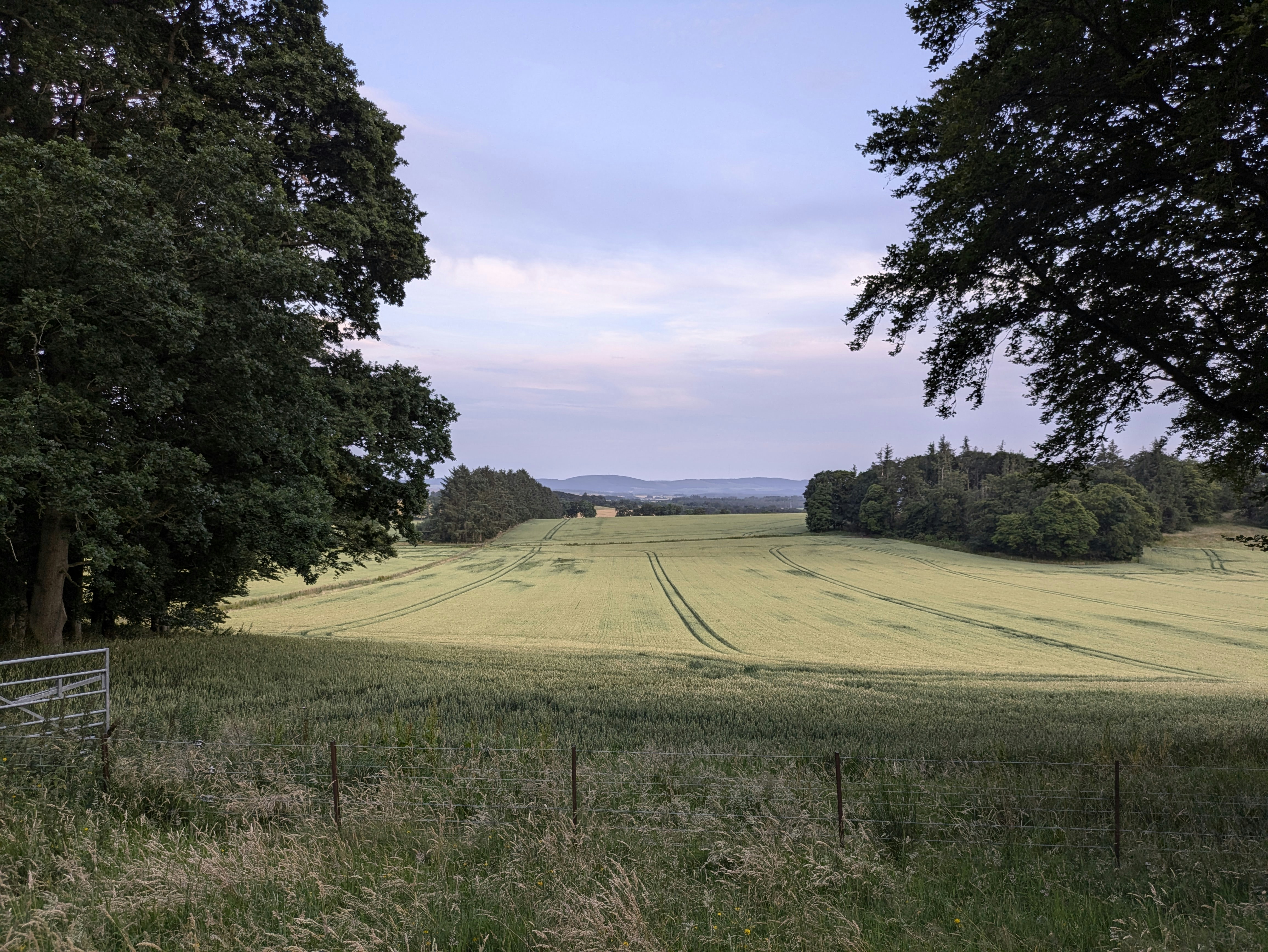 Photo by analoguematt