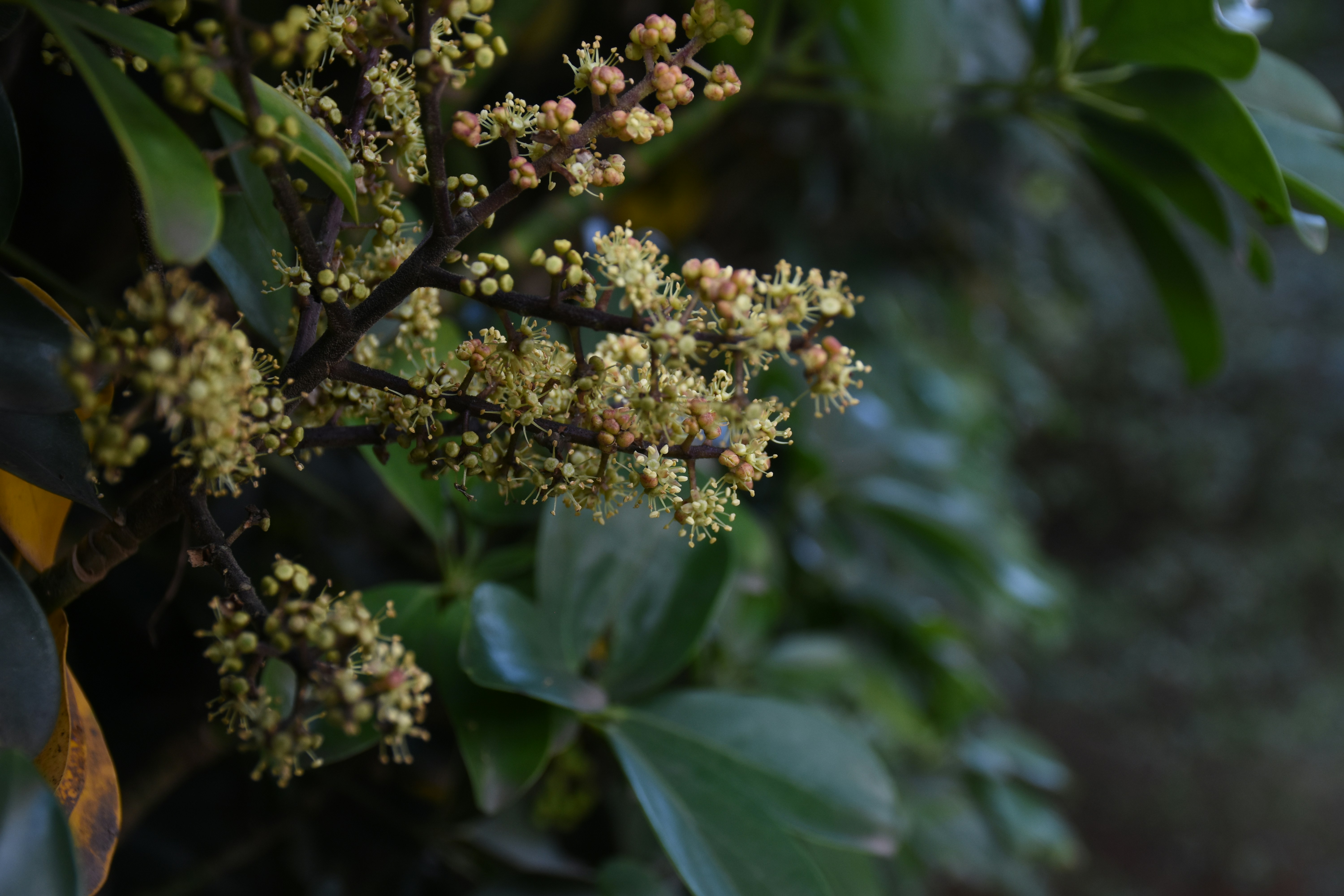 Photo by fernando_bertrand