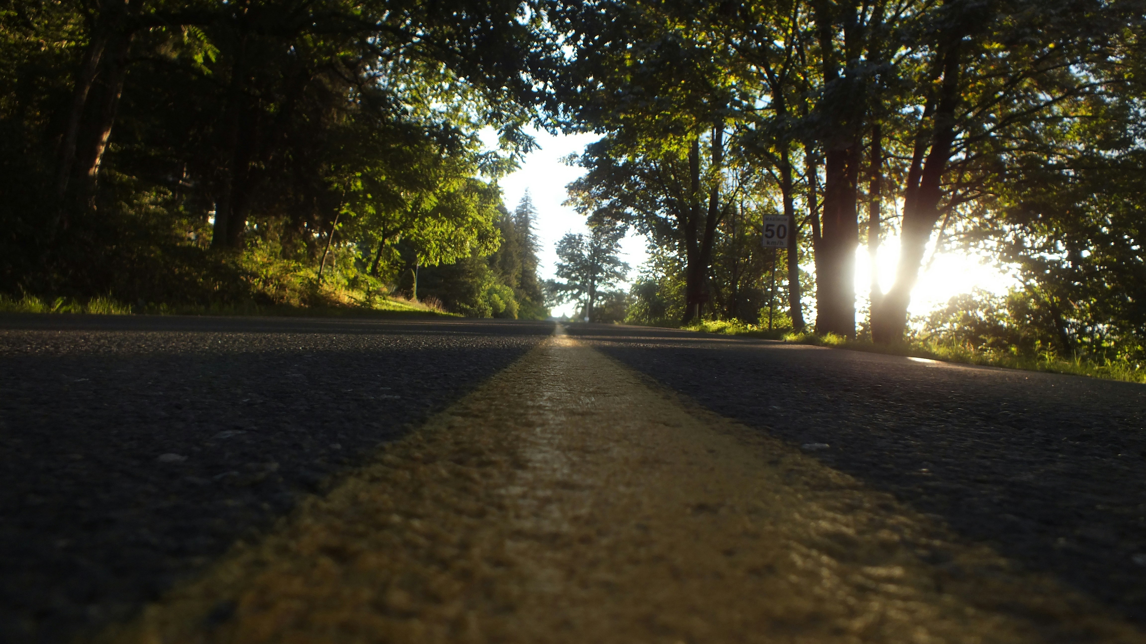 The sun is shining through the trees on the road