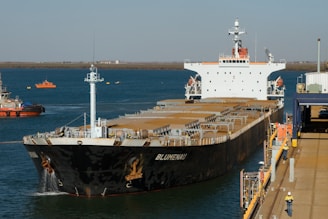 A large cargo ship in a large body of water