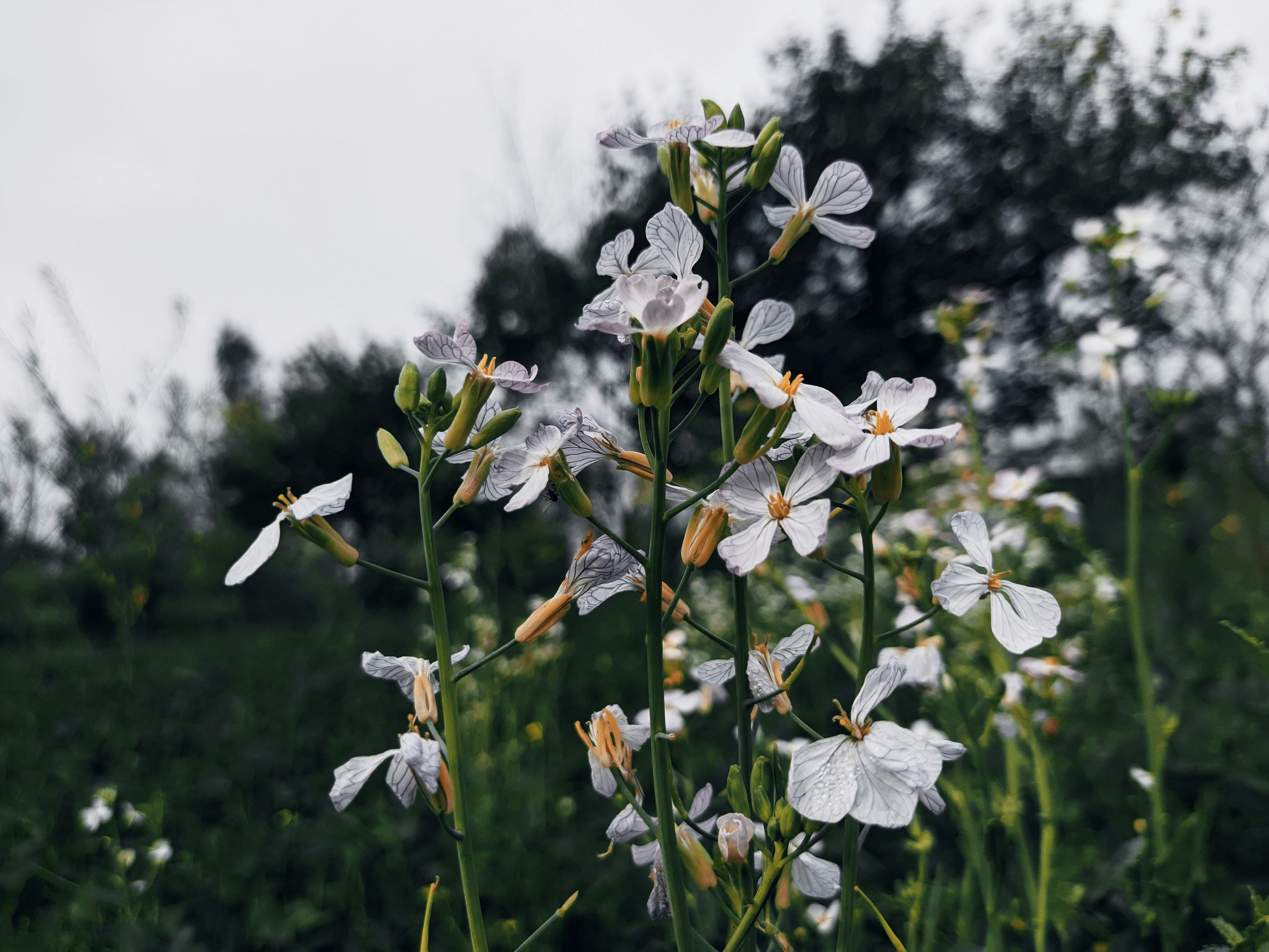 Photo by nature7886