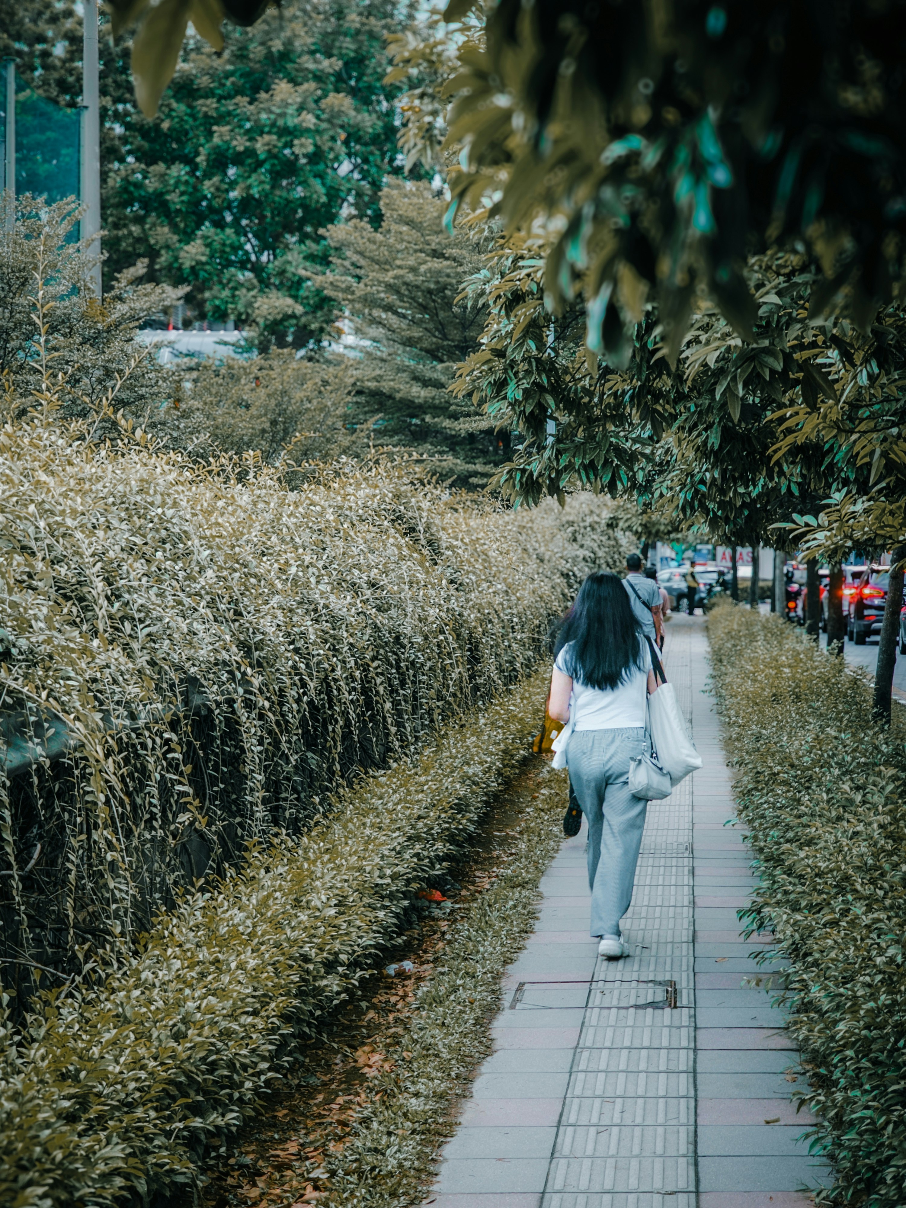 Photo by kcshum
