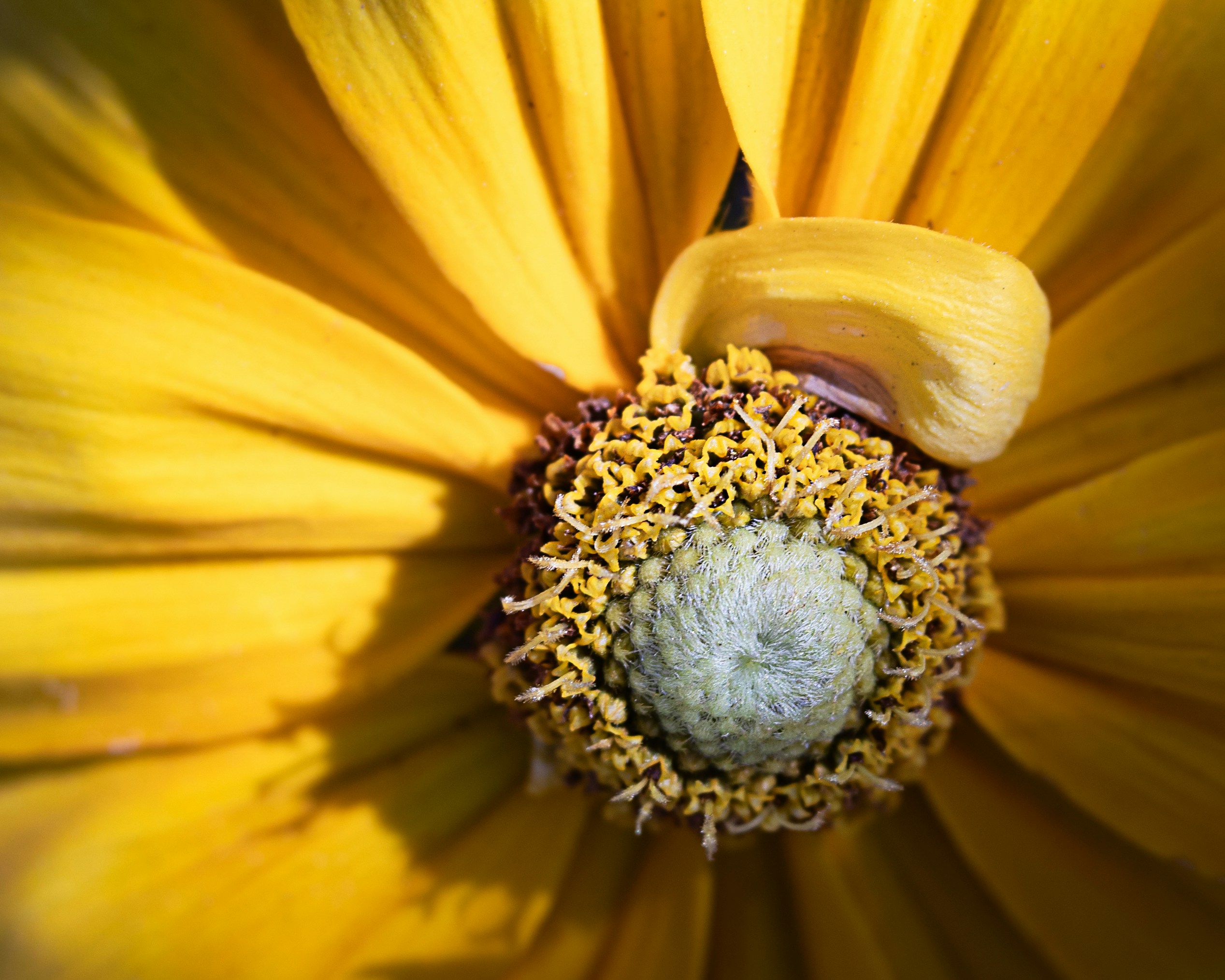 Photo by sixteenmilesout