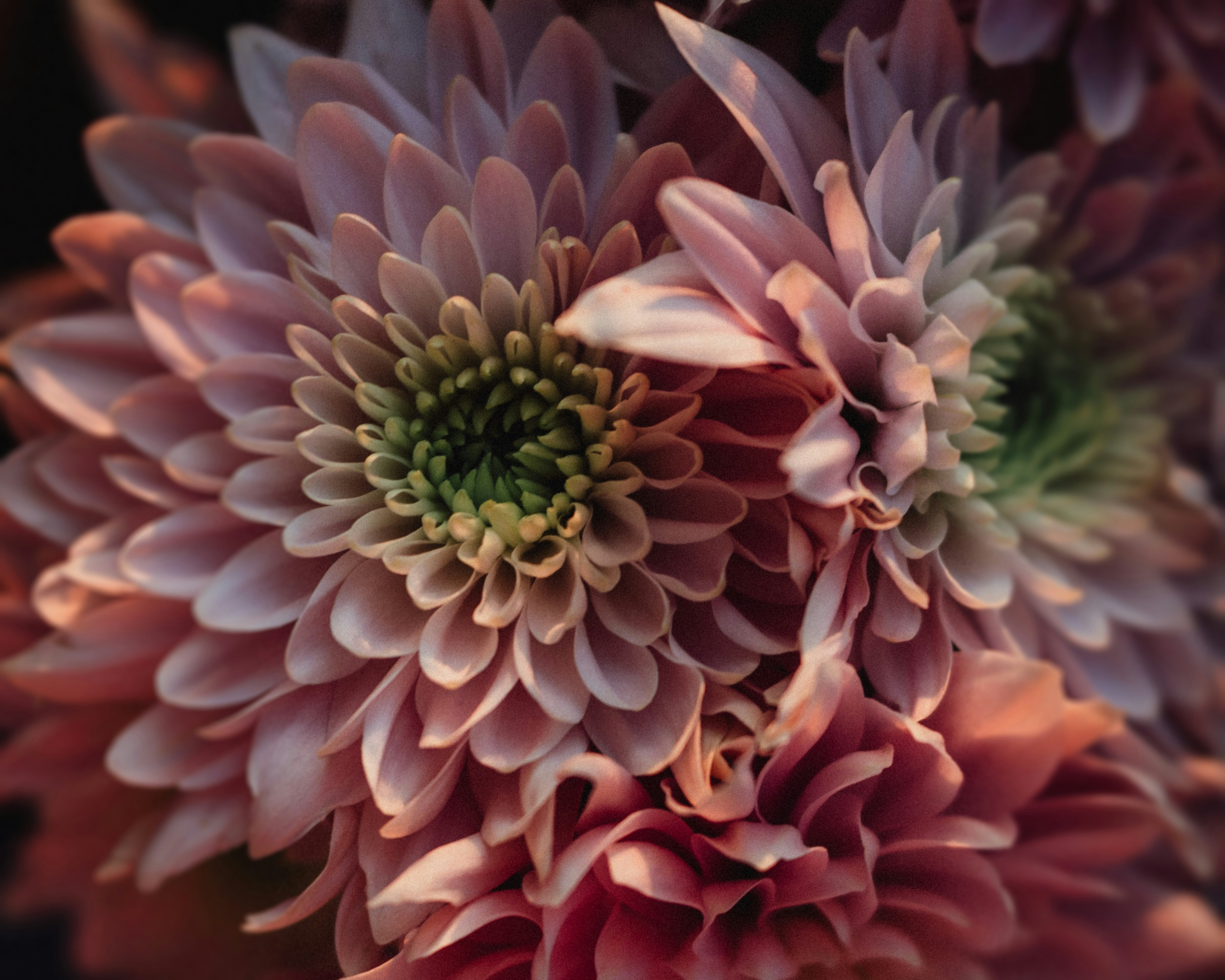 Photo by sixteenmilesout