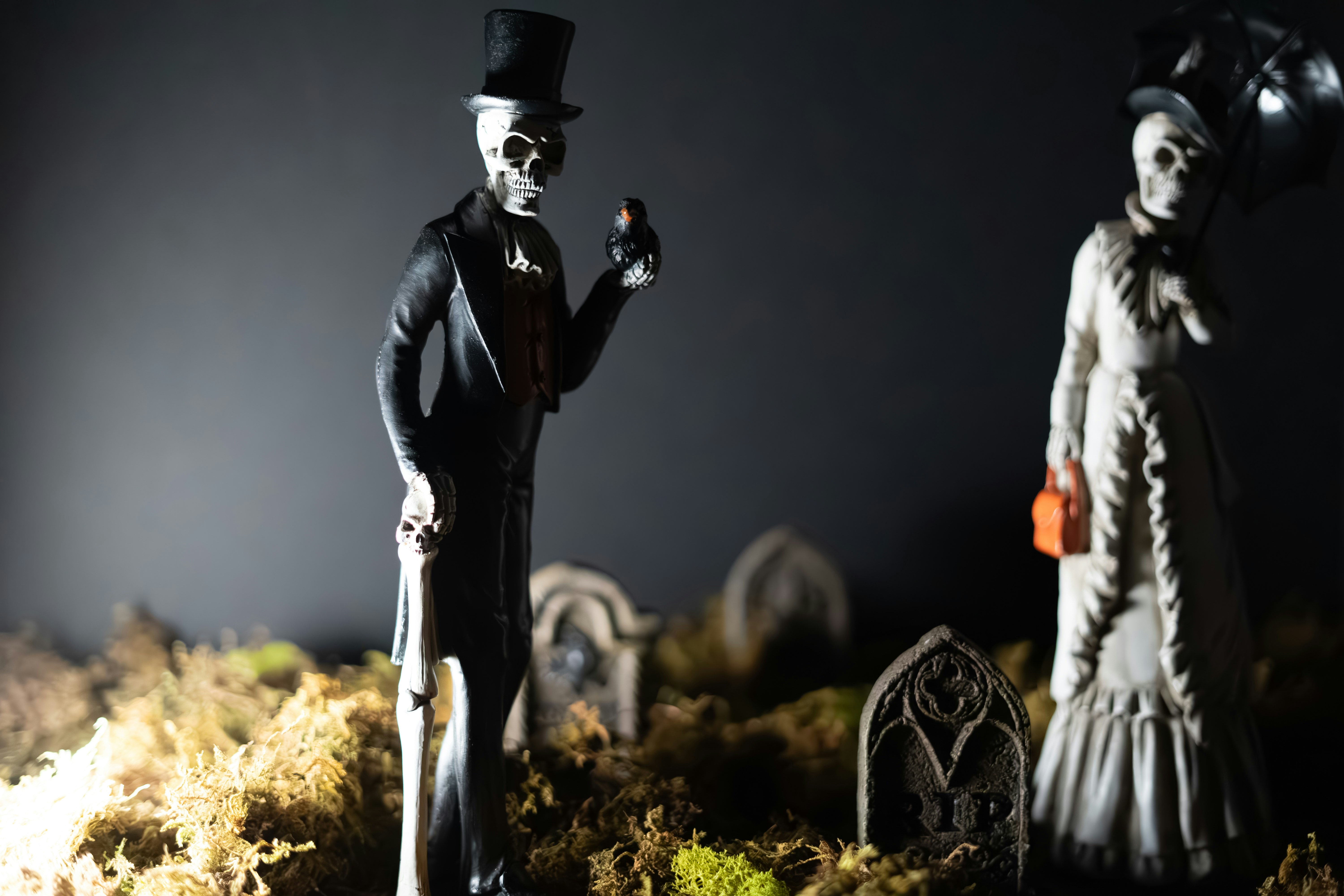 Photo by ghostdogg187
