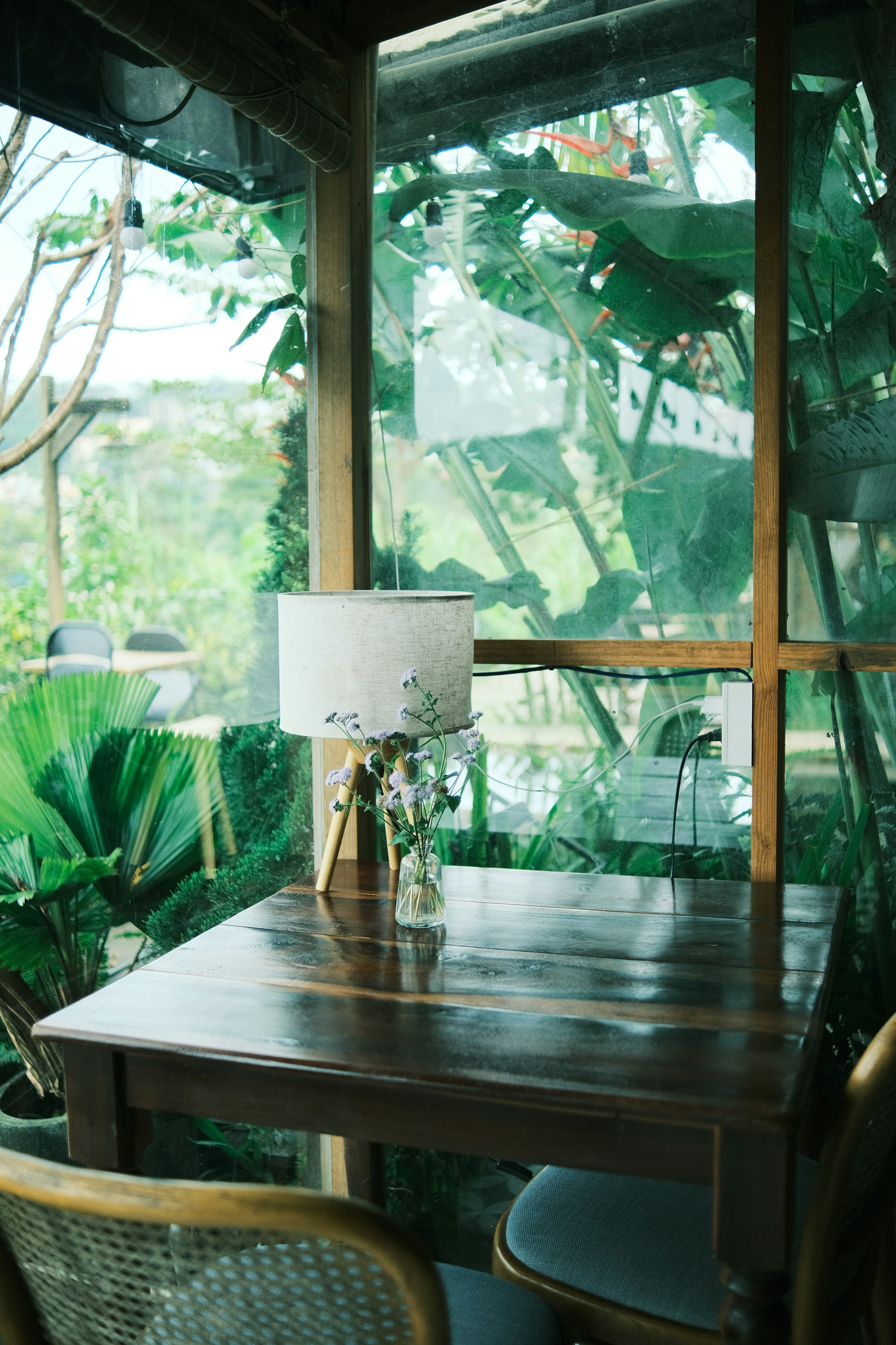 Photo by truogdieu29