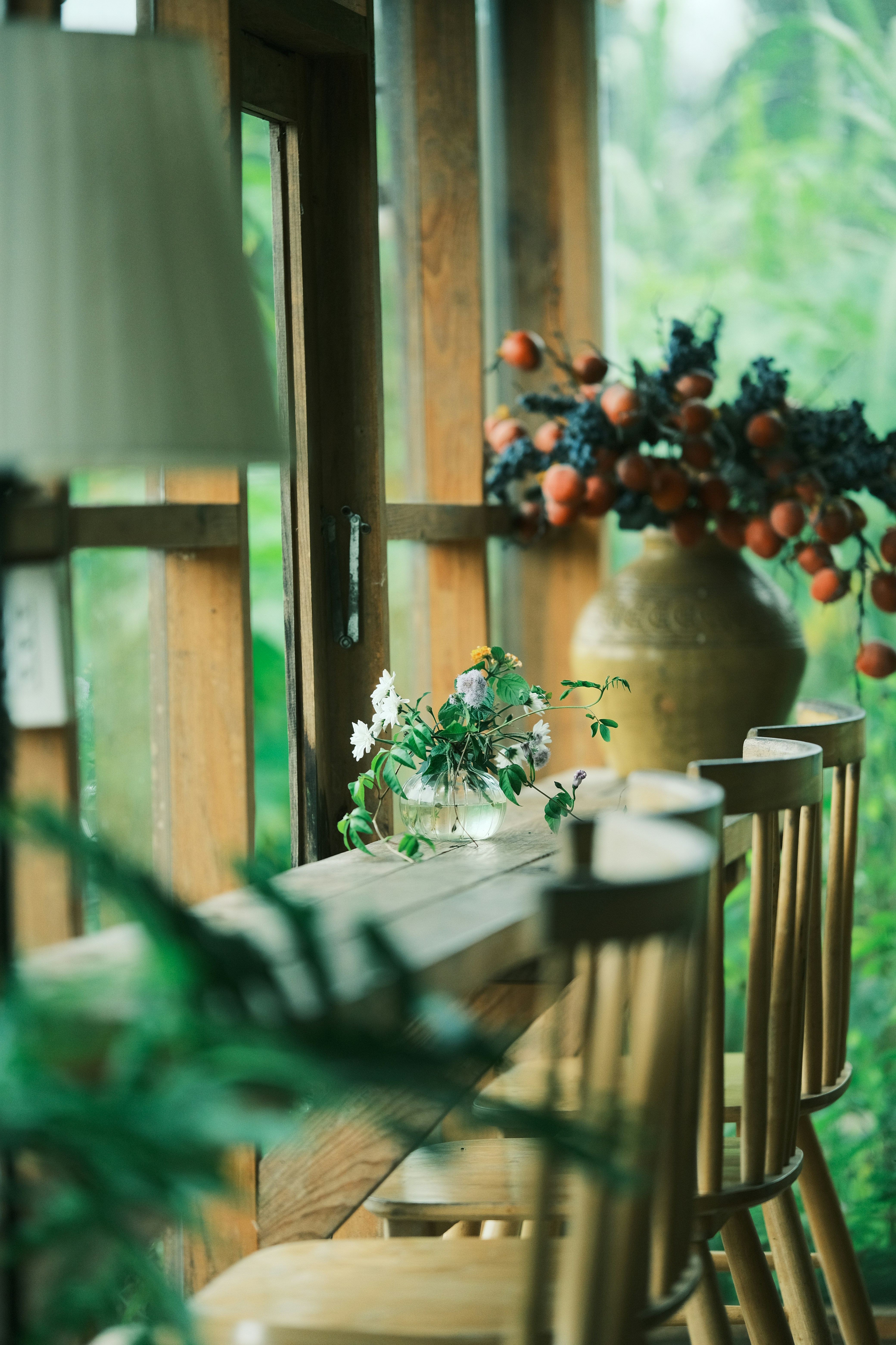 Photo by truogdieu29