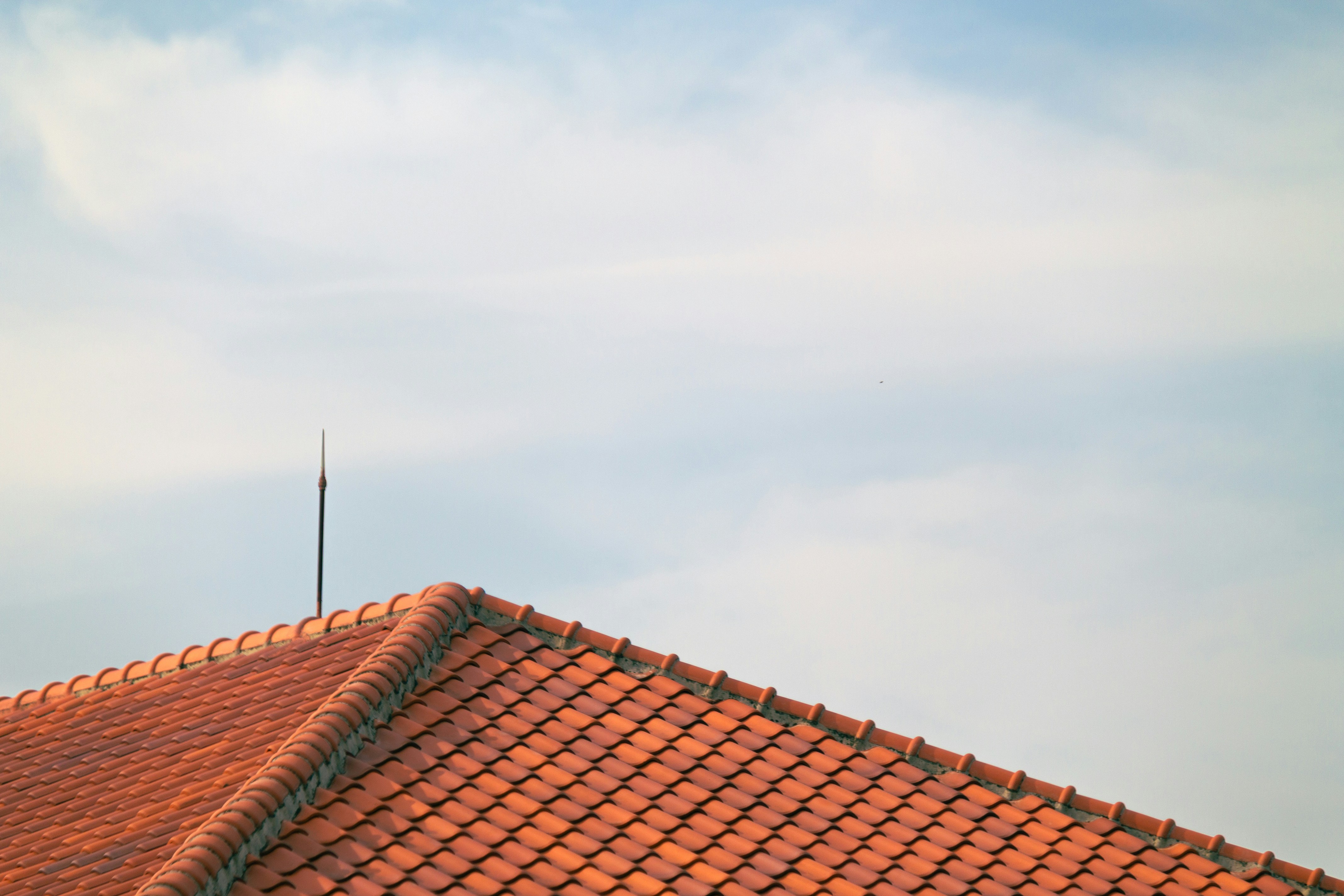 Photo by syahrulaulianto