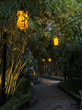 A street light is lit up in the evening