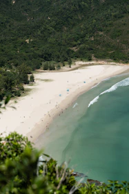 An aerial view of a sandy beach and ocean