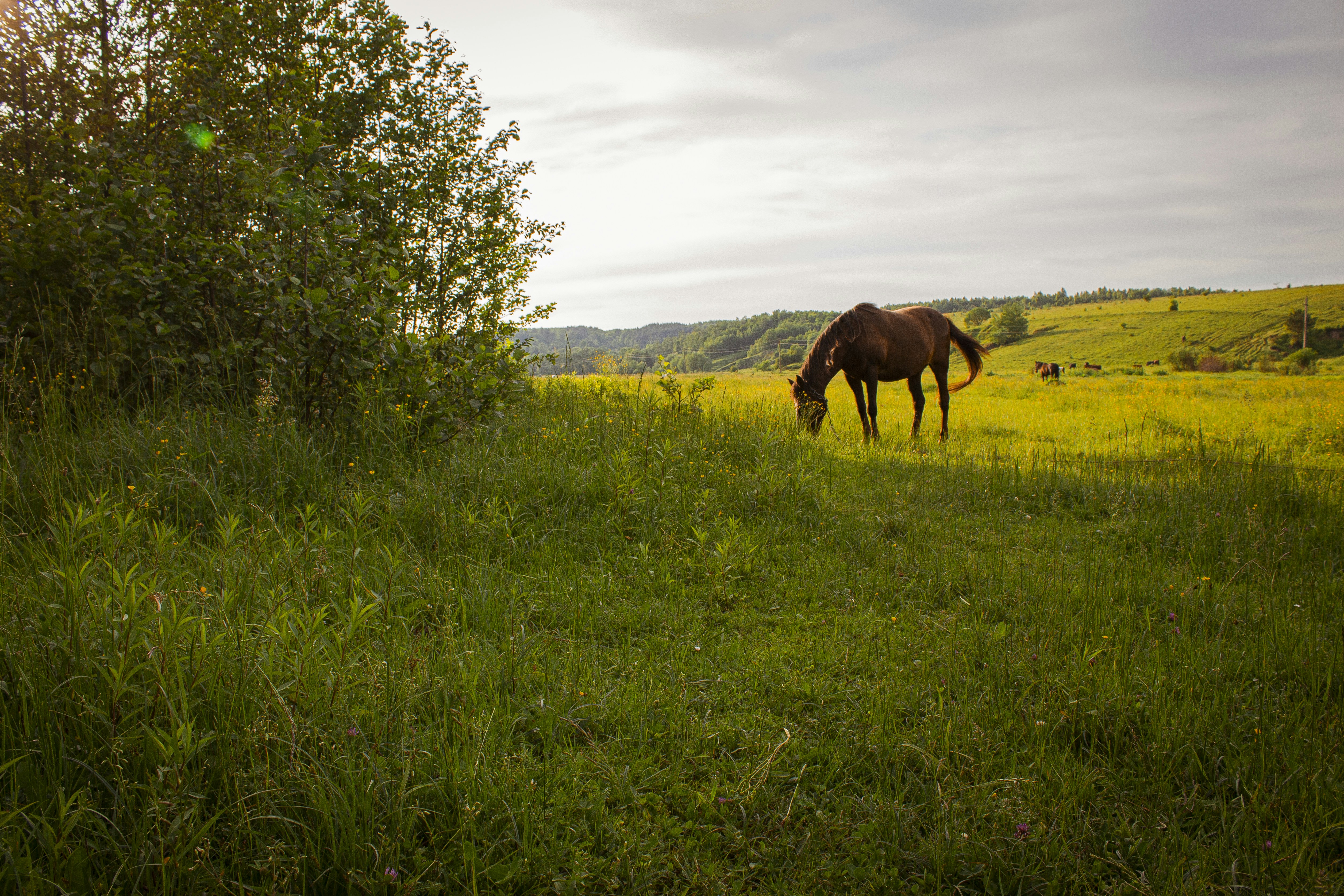 Photo by viktorsmoliak
