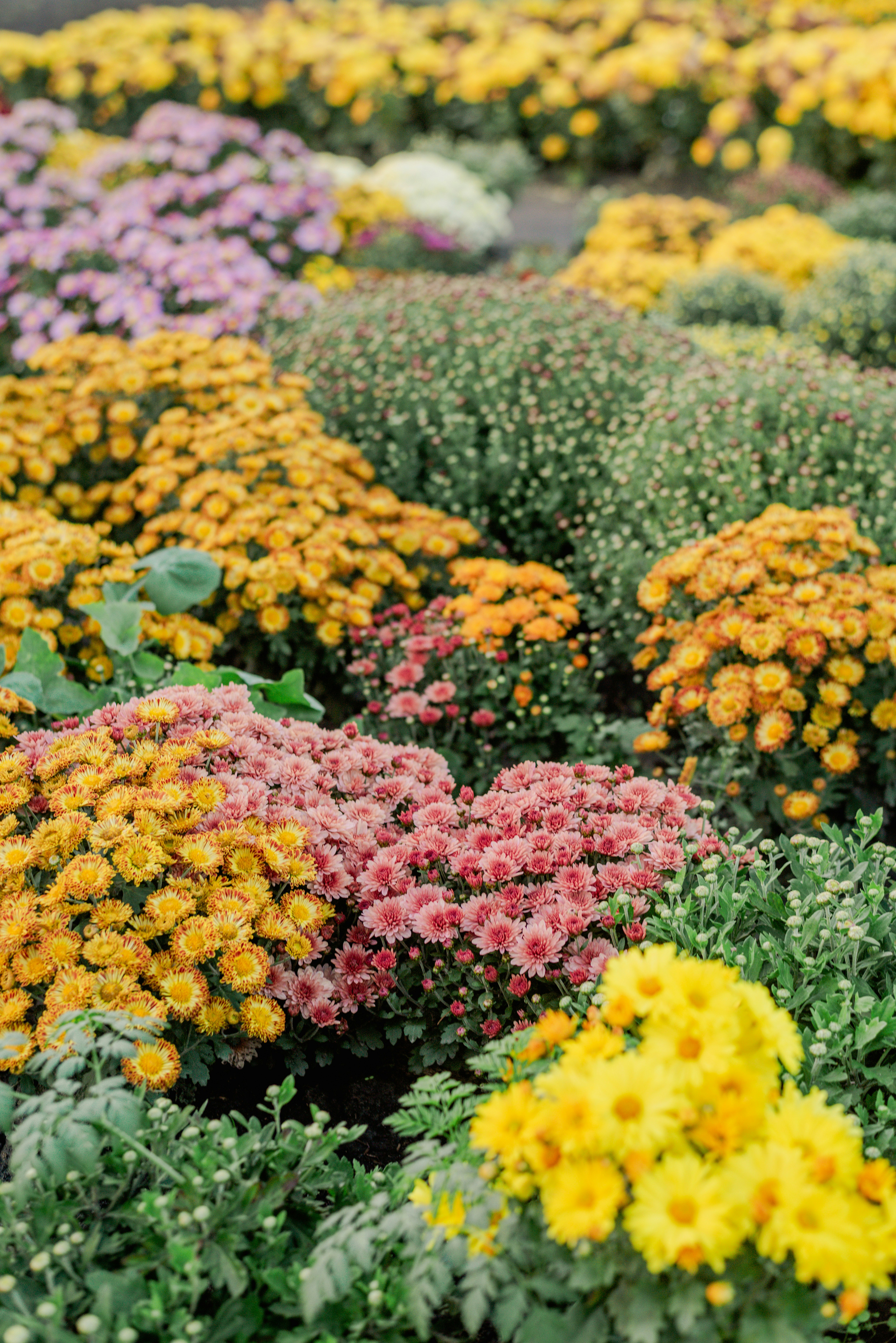 Photo by eugenivy_now