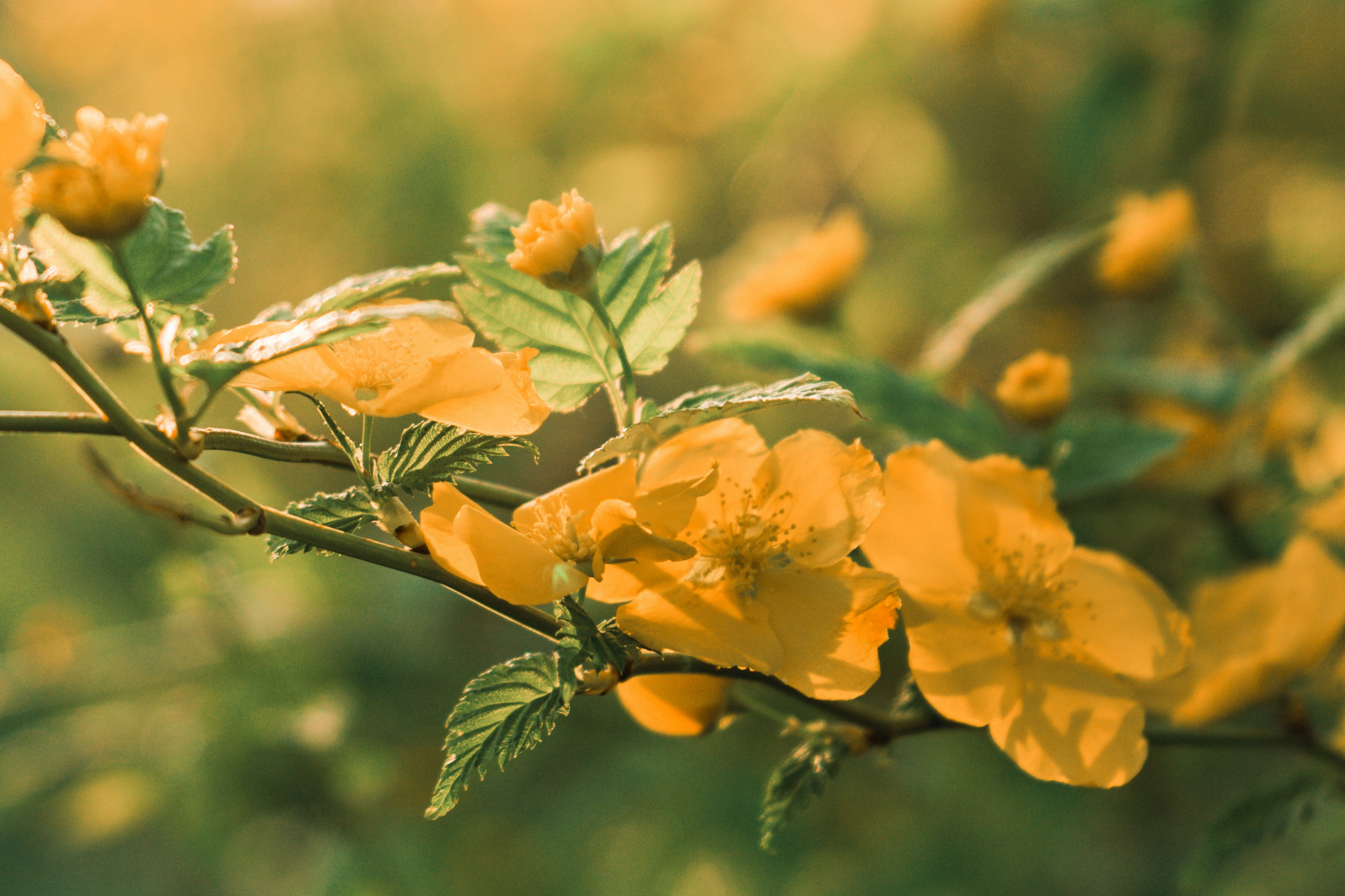 Photo by hechang2002