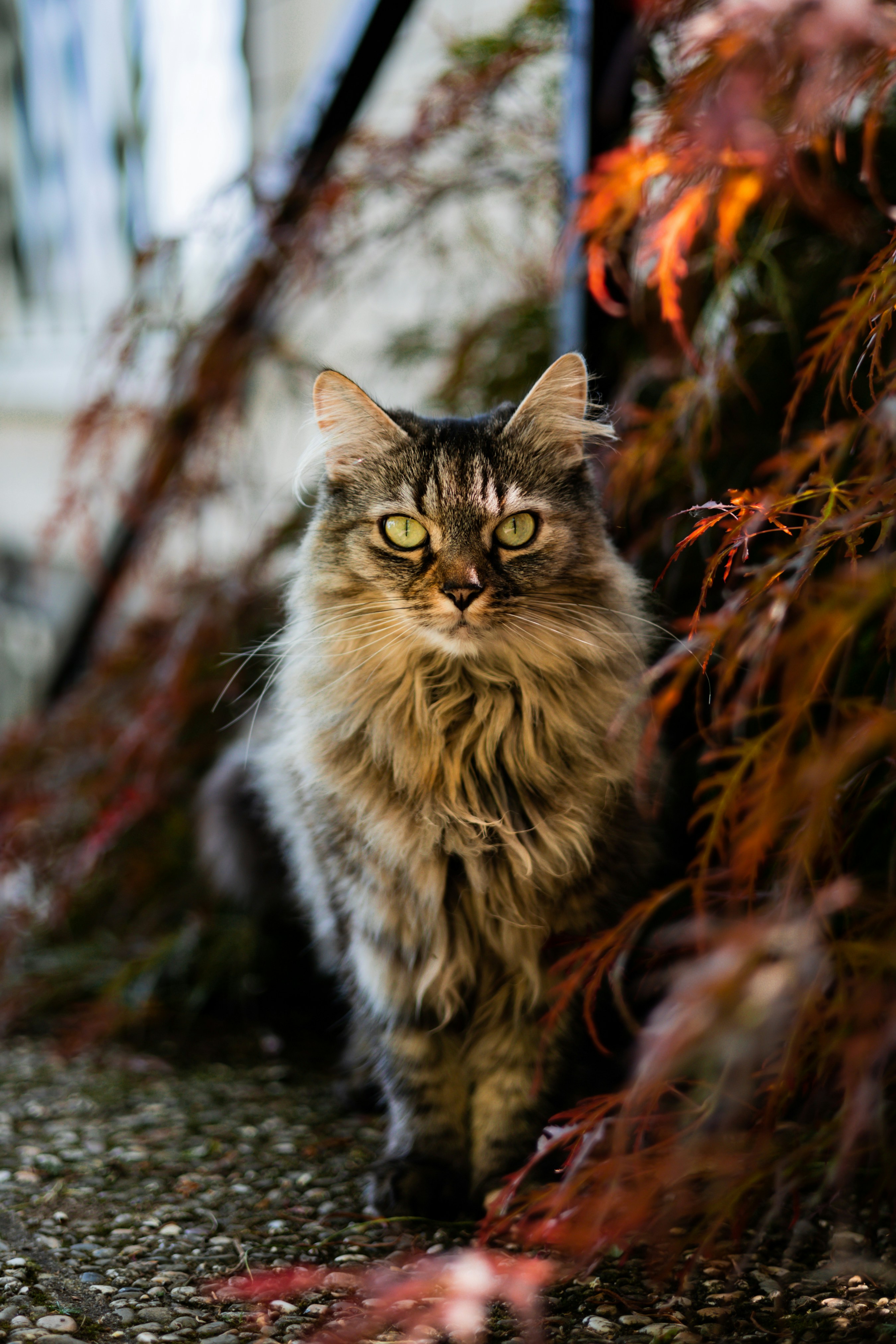 Photo by gnomezgrave