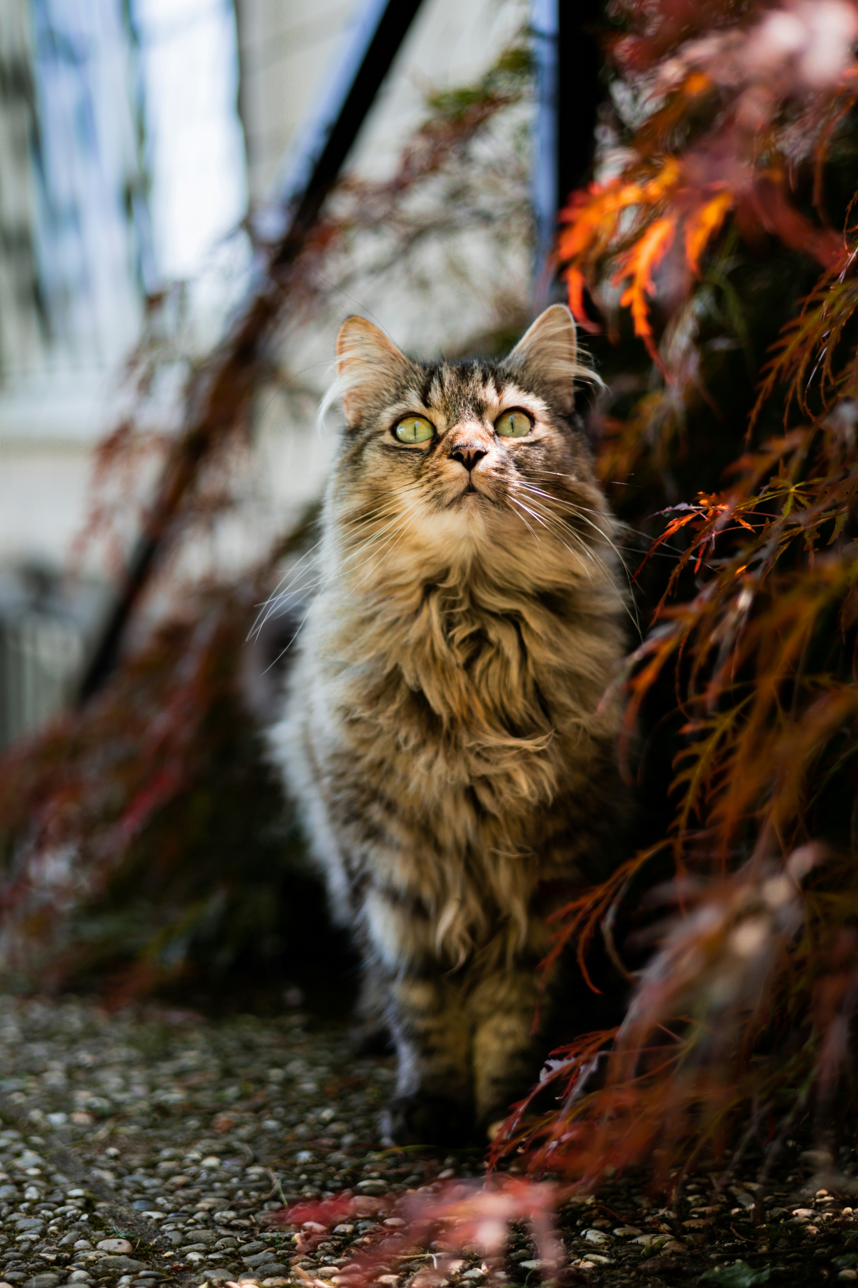 Photo by gnomezgrave